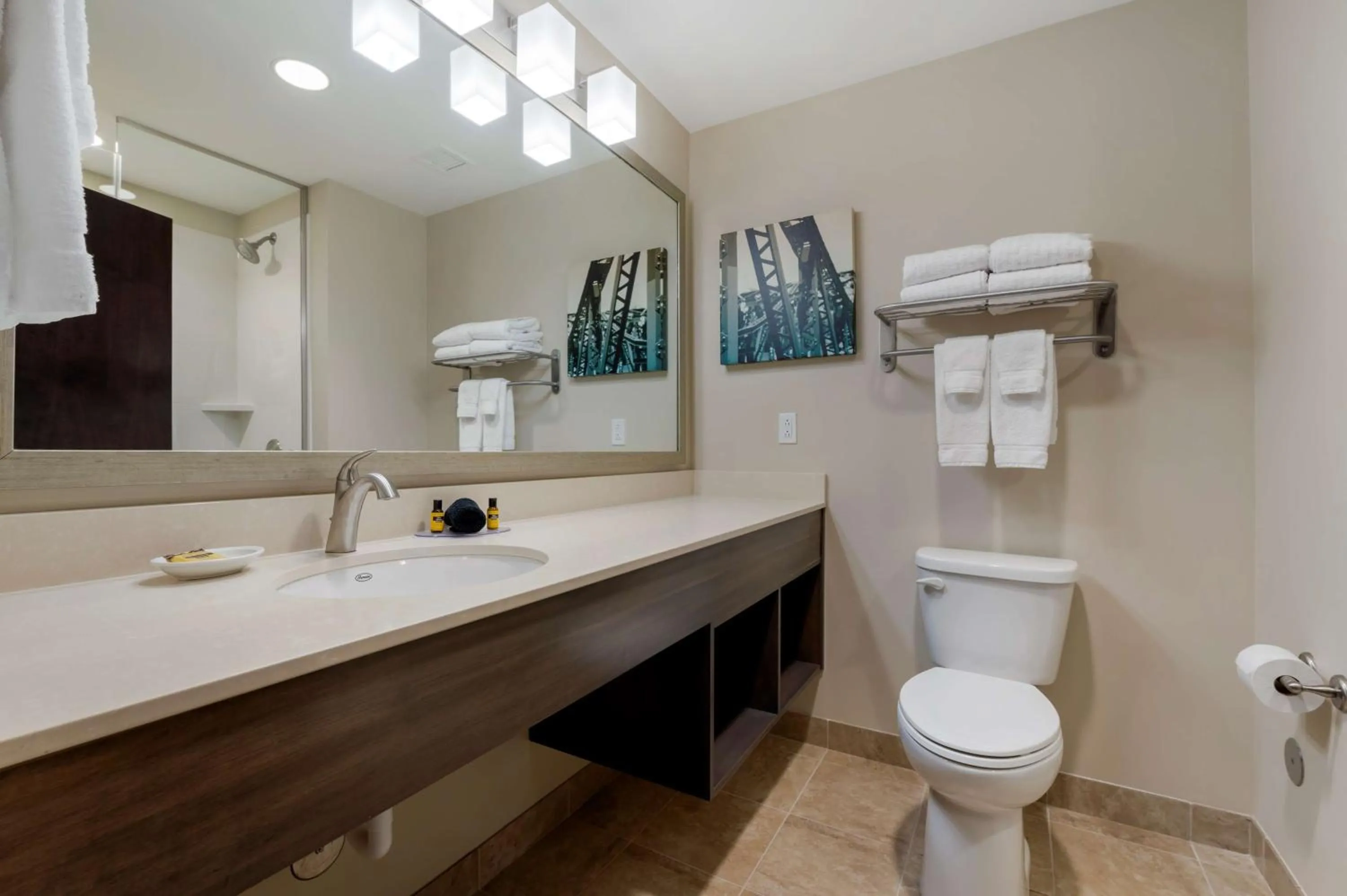Bathroom in Best Western Plus Centralia Hotel & Suites