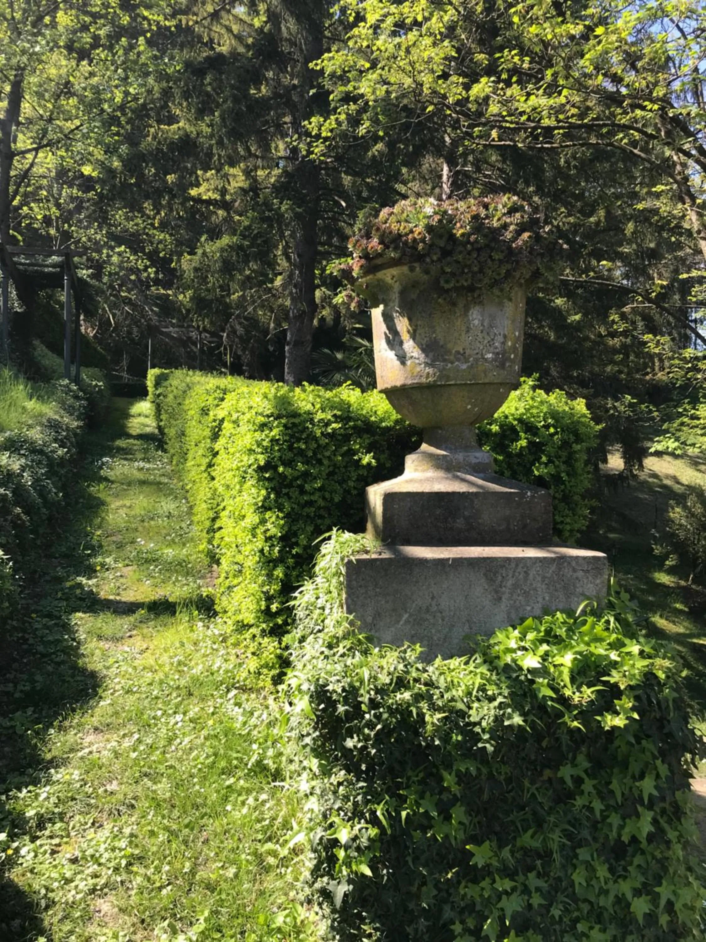 Garden view in Dimora Storica La Corte Delle 4 Stagioni