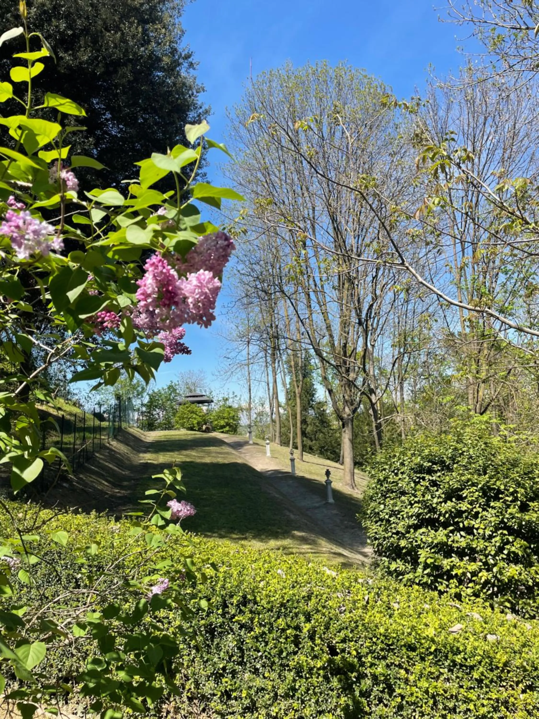 Garden in Dimora Storica La Corte Delle 4 Stagioni