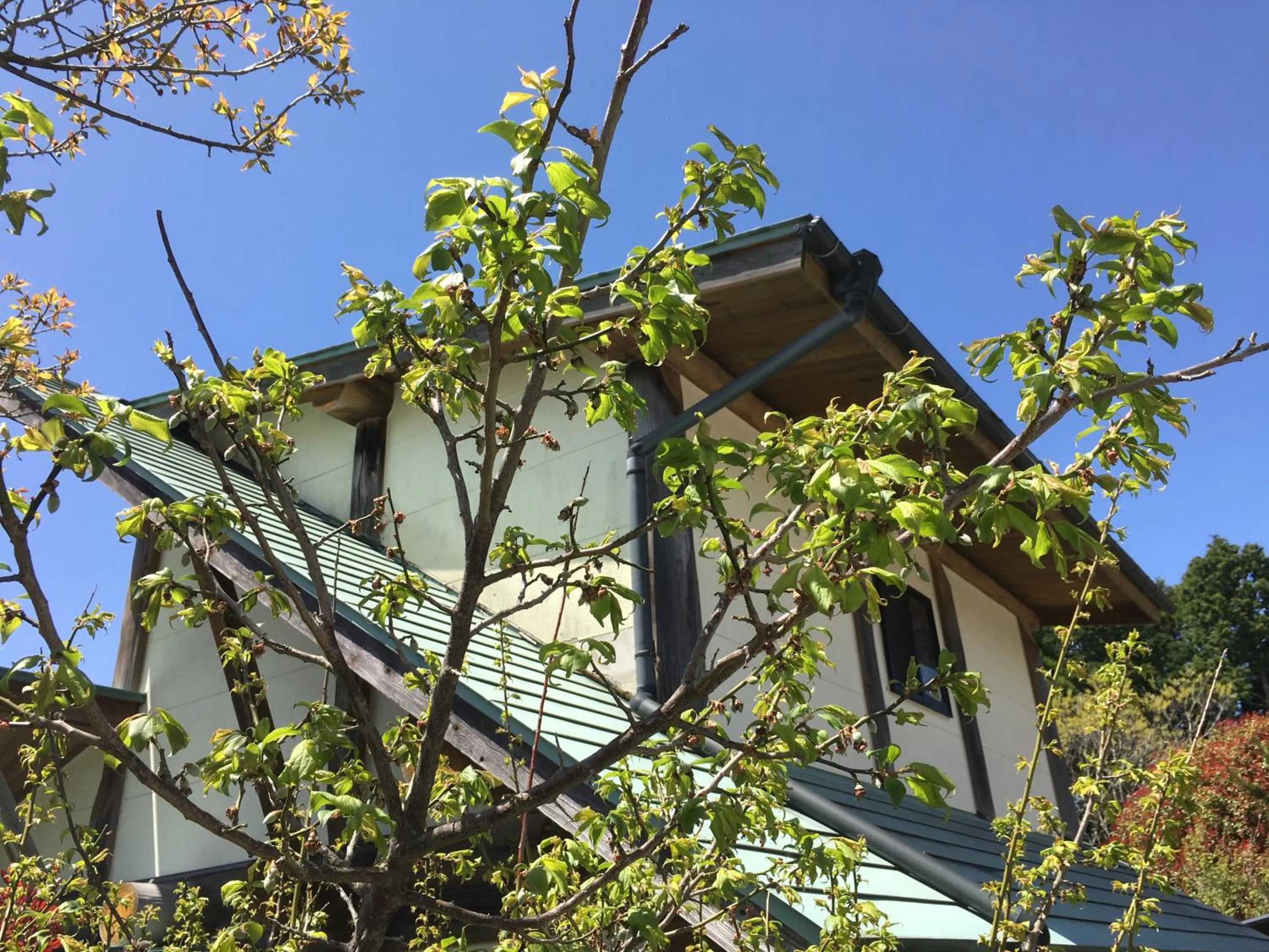 Property building in Kurokawa Mori no Cottage