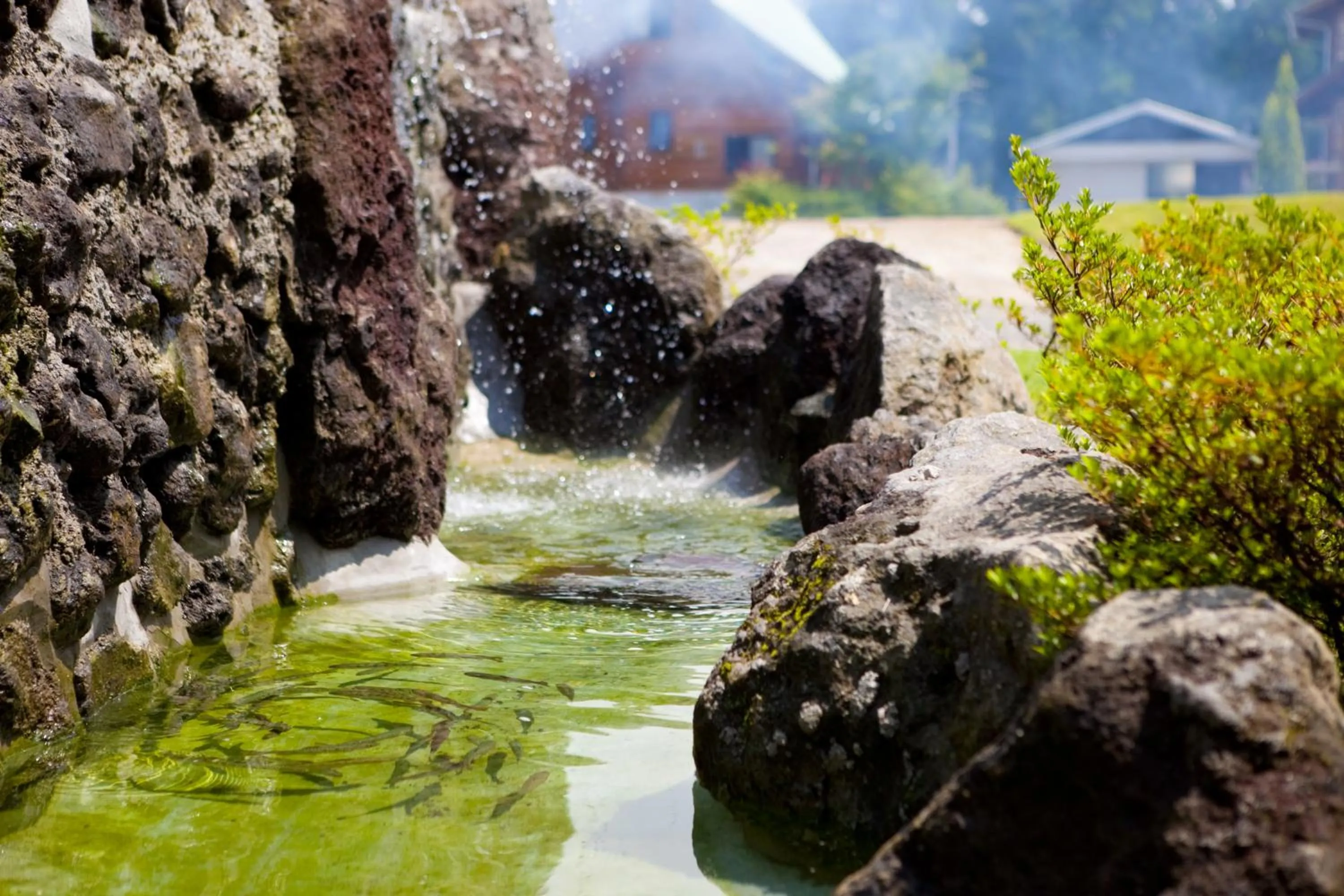 Garden in Kurokawa Mori no Cottage