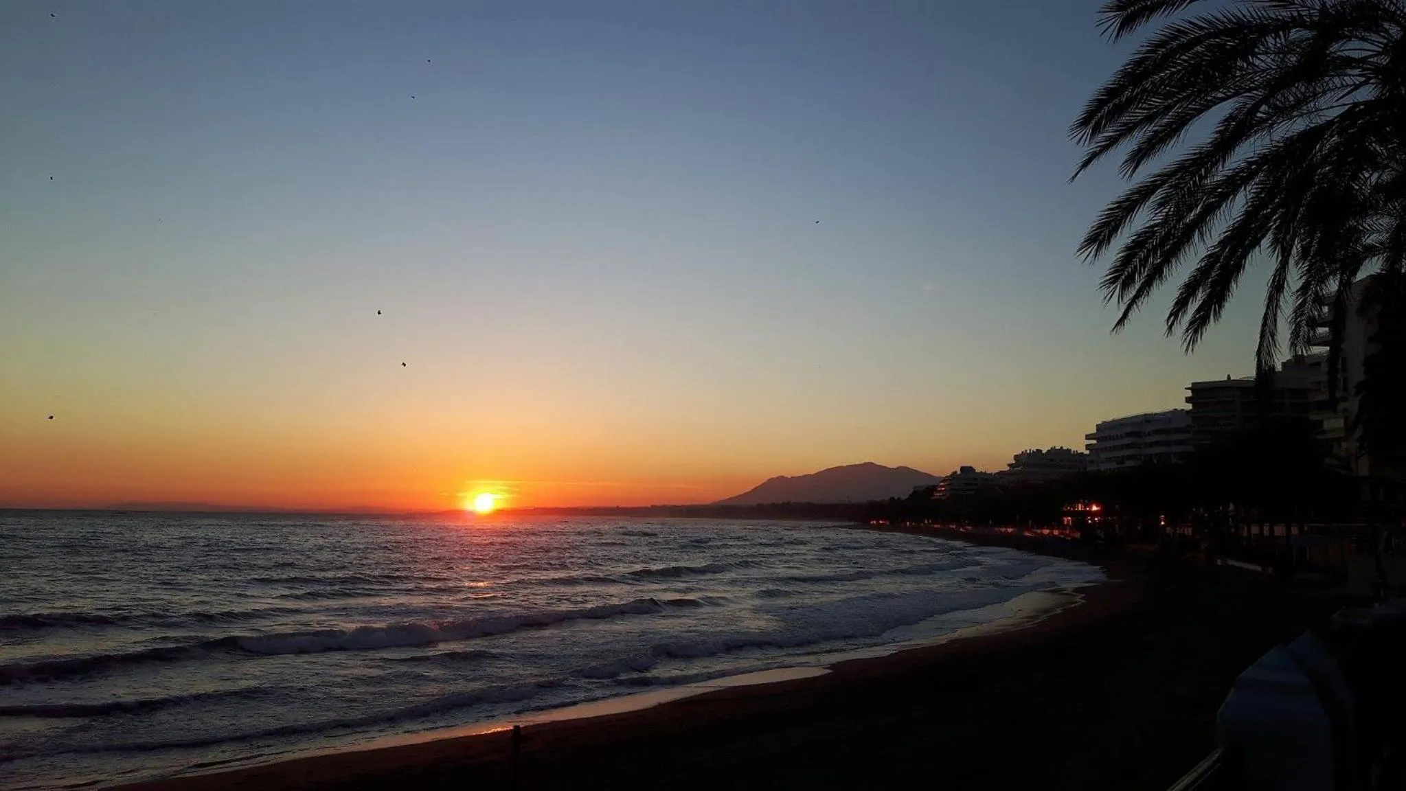 Beach in Hapimag Apartments Marbella