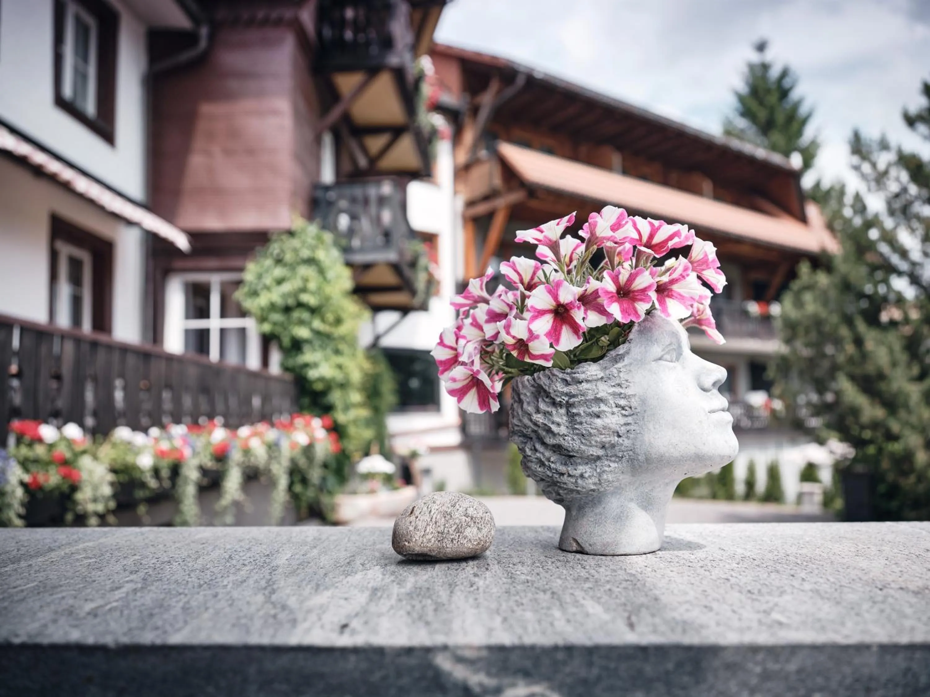 Property building in Hotel Hochfirst