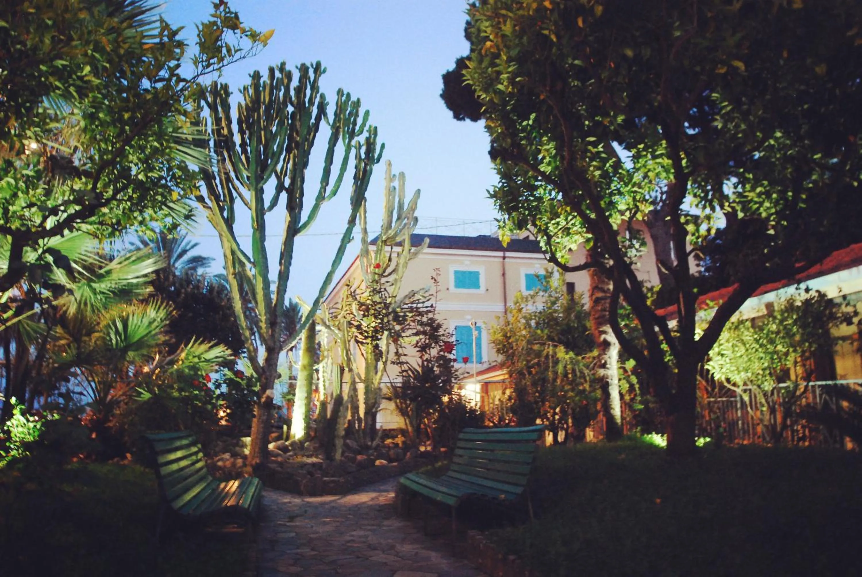 Garden in Hotel Villa Sophia
