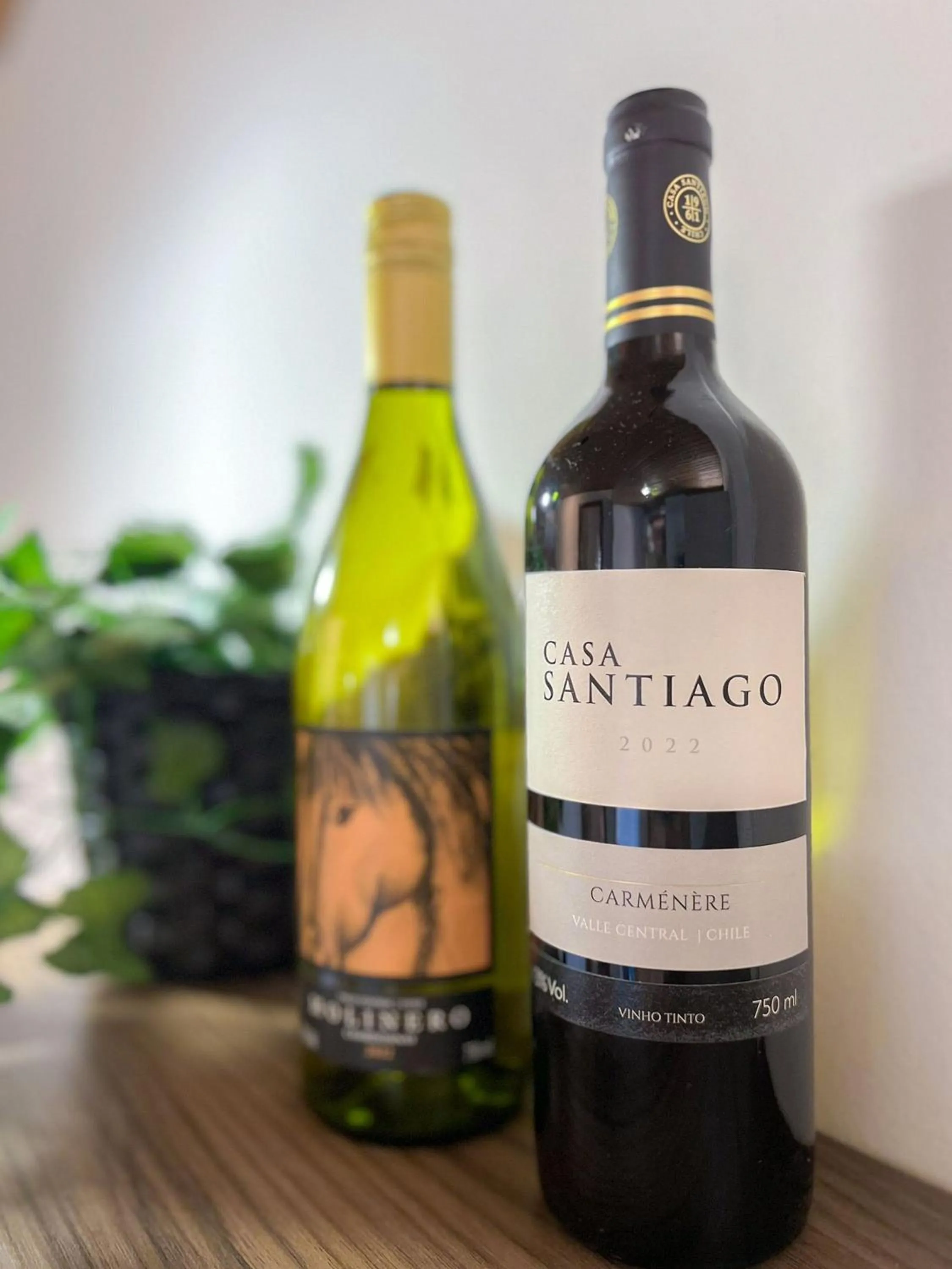 Bedroom in Pousada Solar dos Lírios - Praia do Rosa