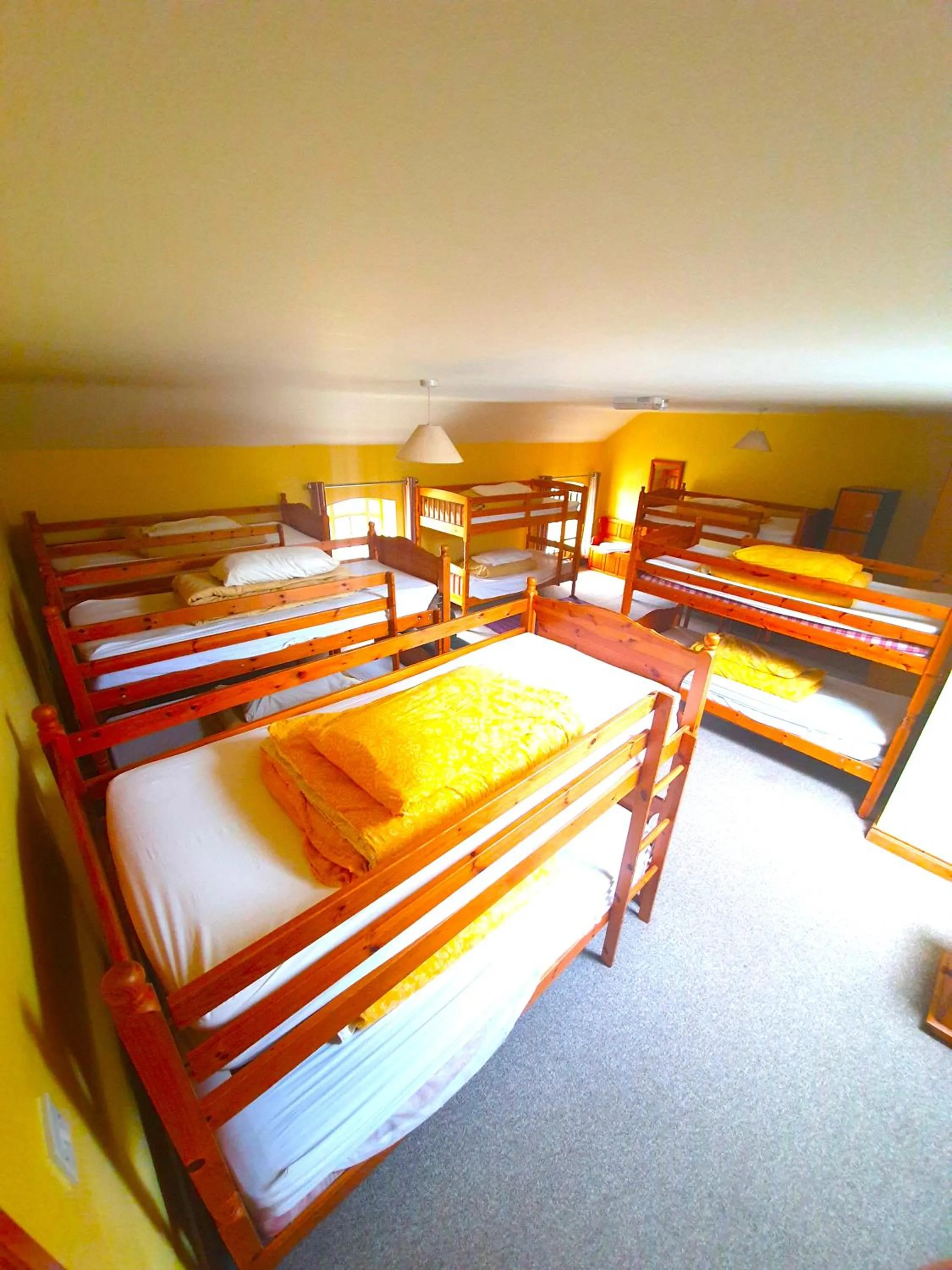 bunk bed in Slane Farm Hostel, Cottages and Camping