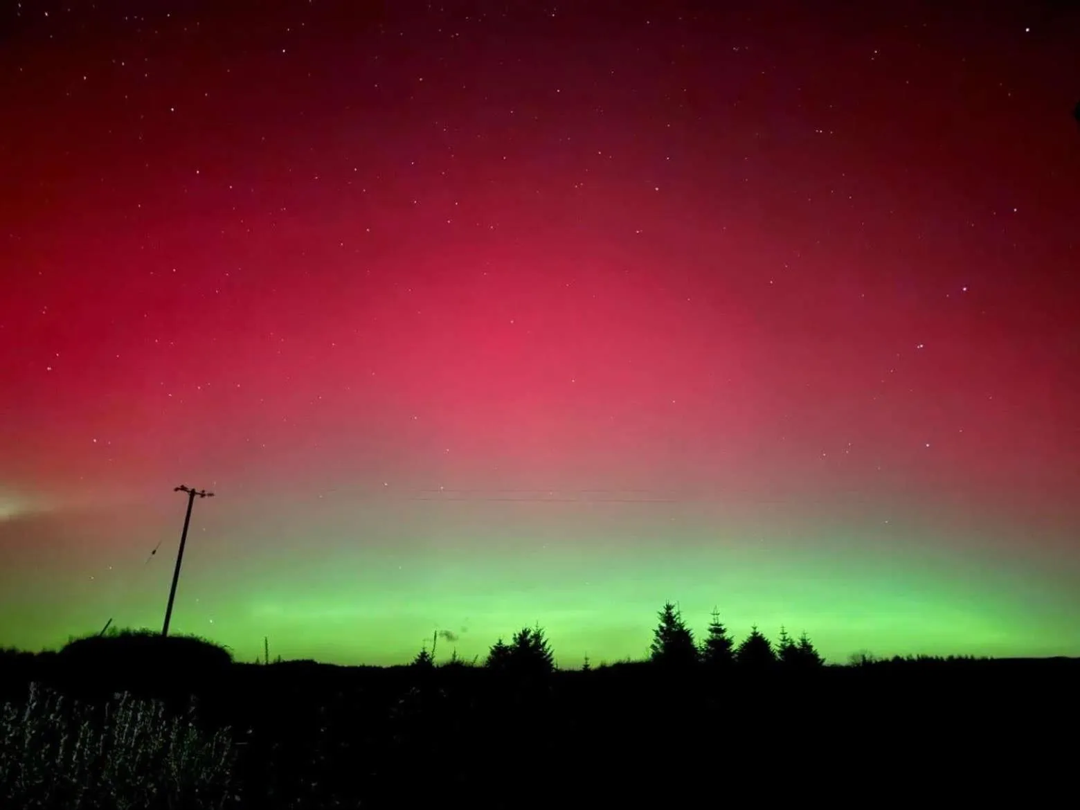 Natural landscape in Glasha Meadows Accommodation