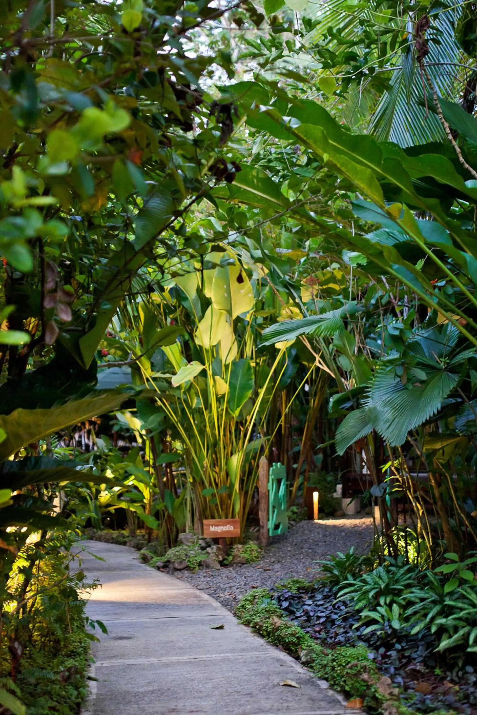 Garden in Hotel Aguas Claras Member of the Cayuga Collection