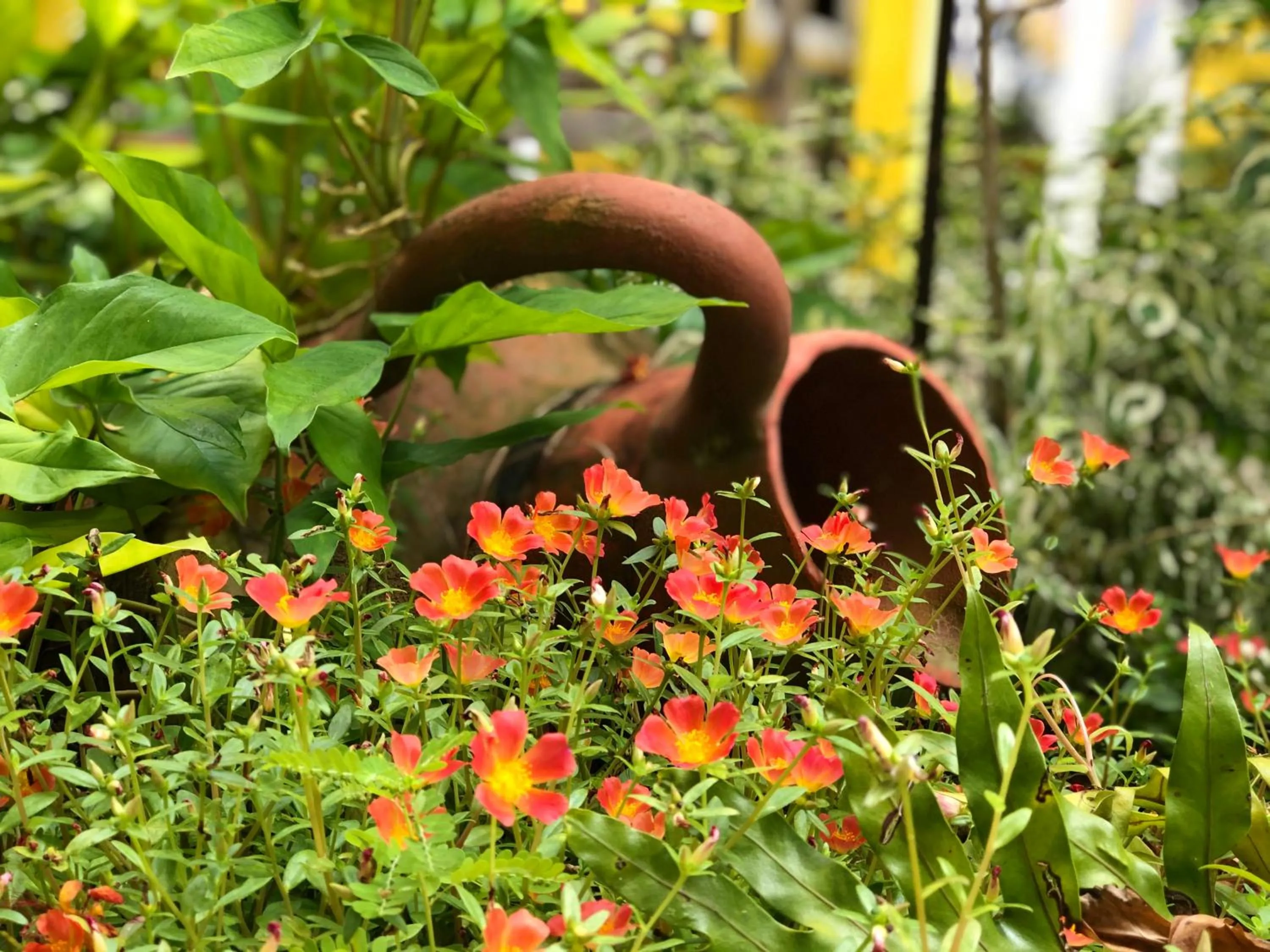 Property building in Aguamarinha Pousada