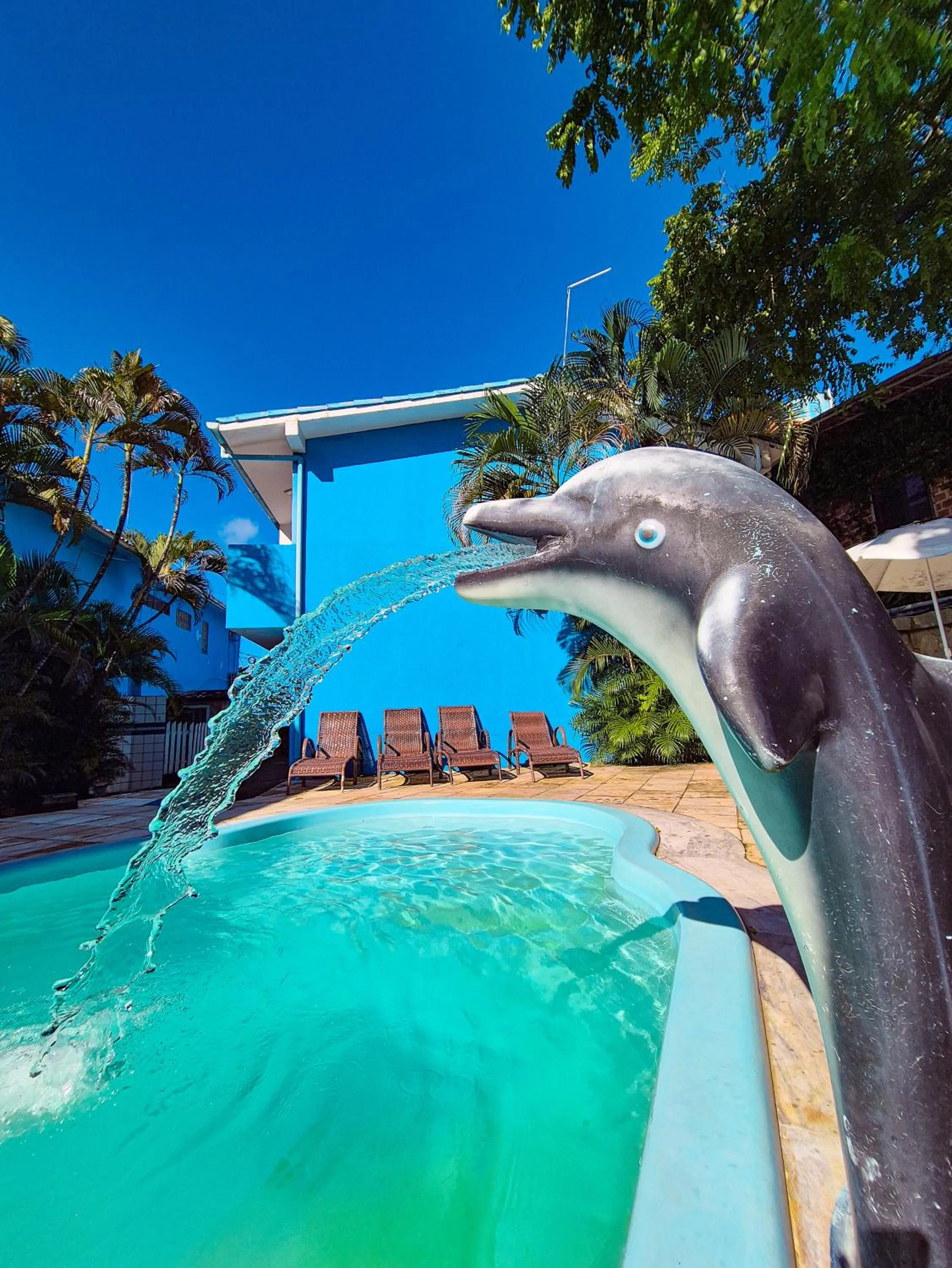Pool view in Pousada Morada Azul