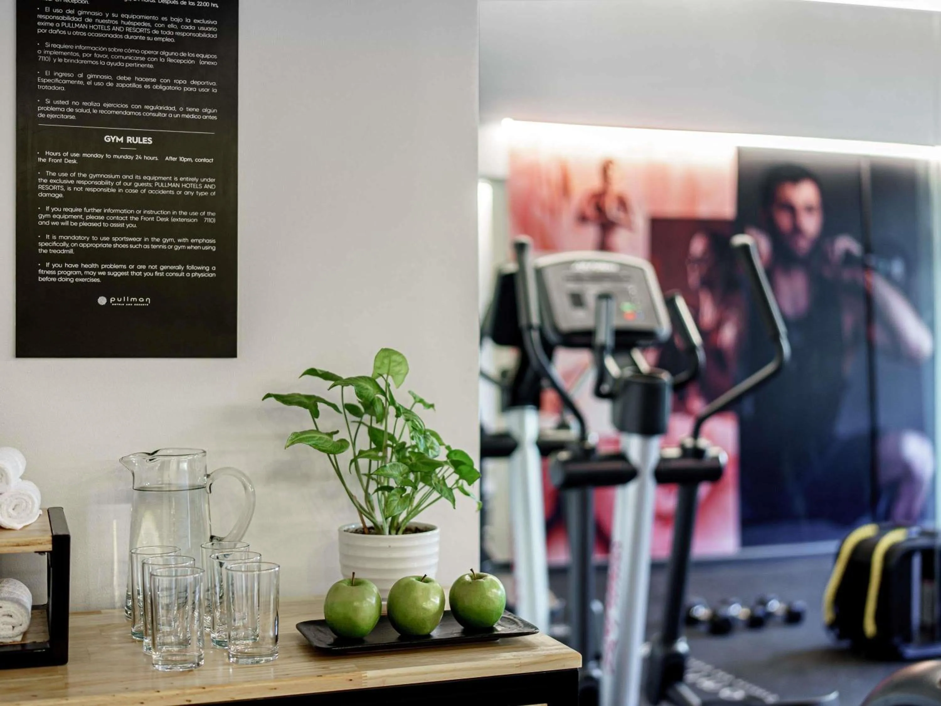 Other in Pullman Vina del Mar San Martin