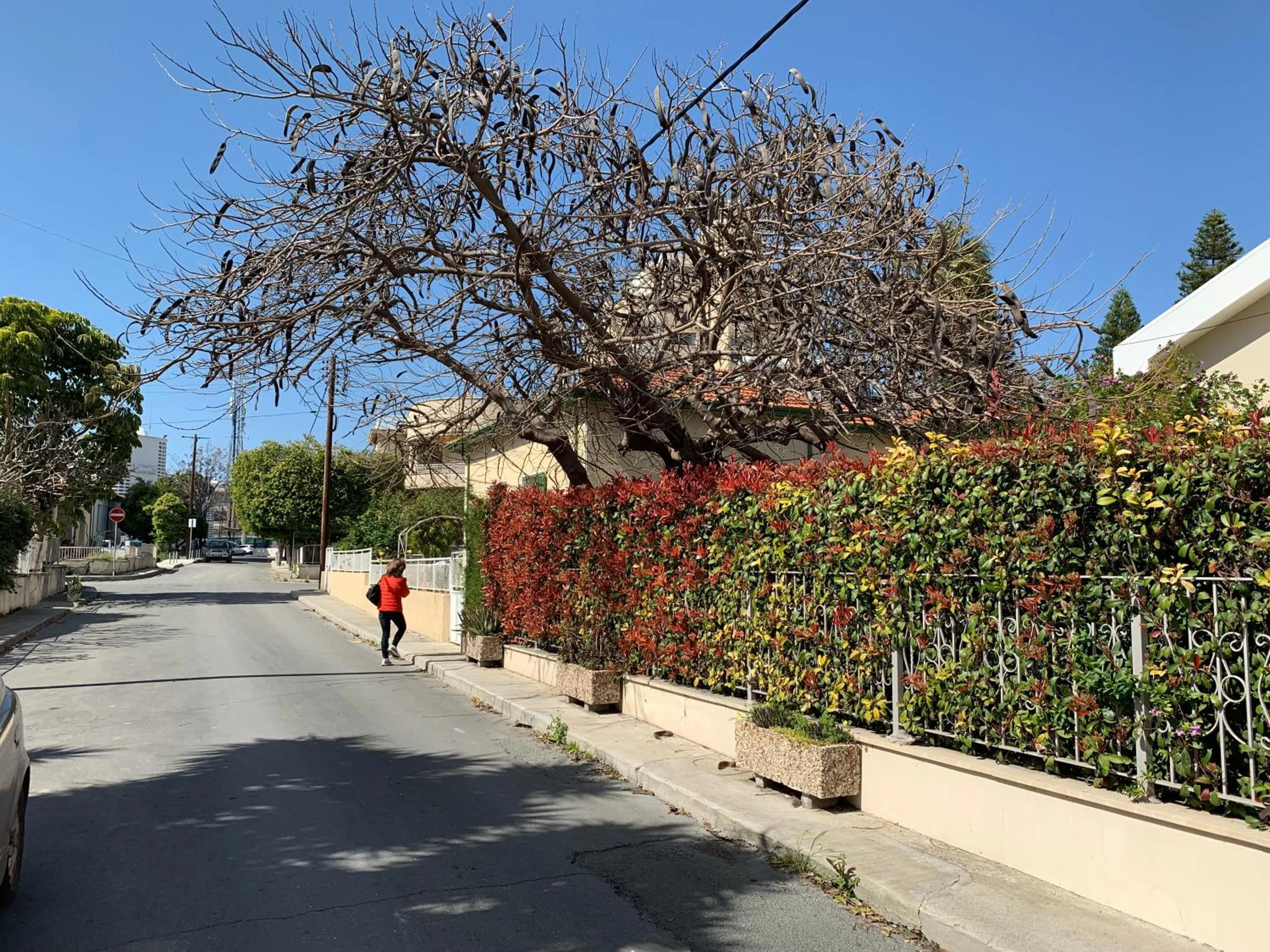 Quiet street view in Avgi's Home