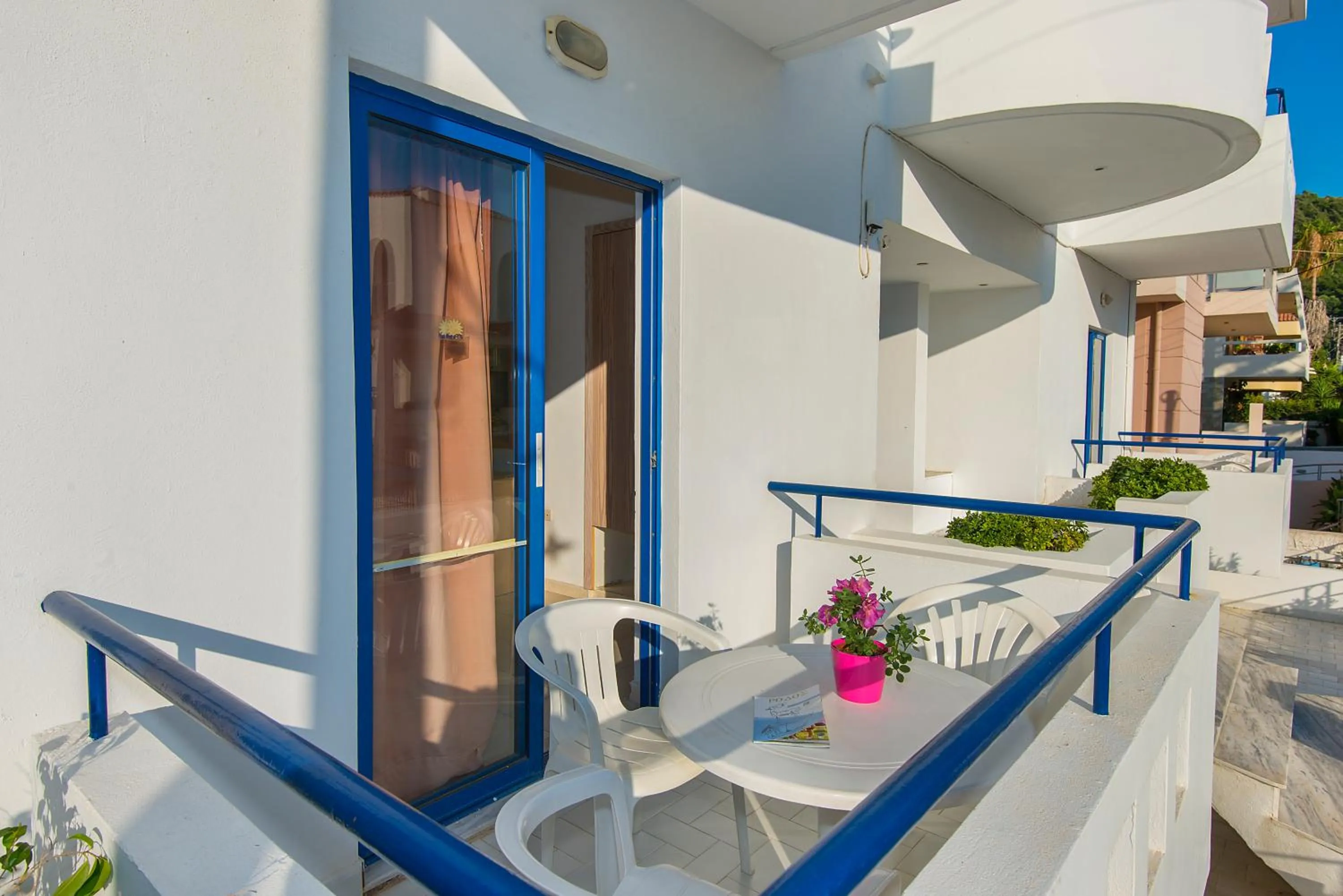 Balcony/Terrace in Blue Roses