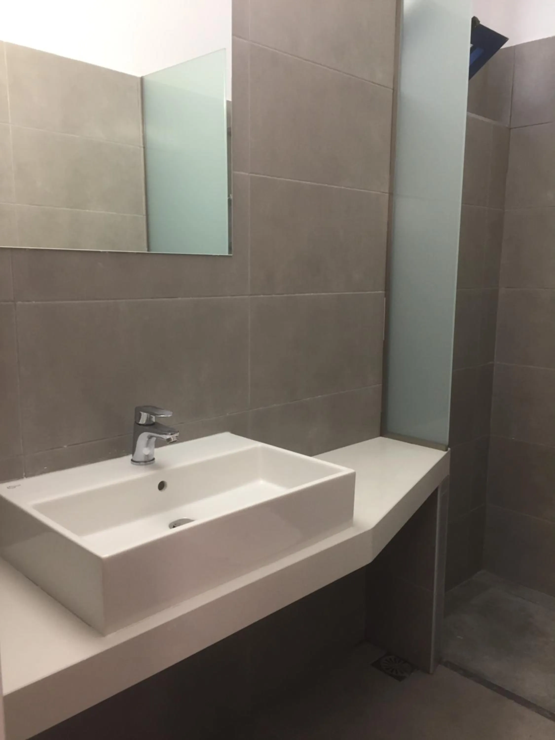 Bathroom in Blue Roses