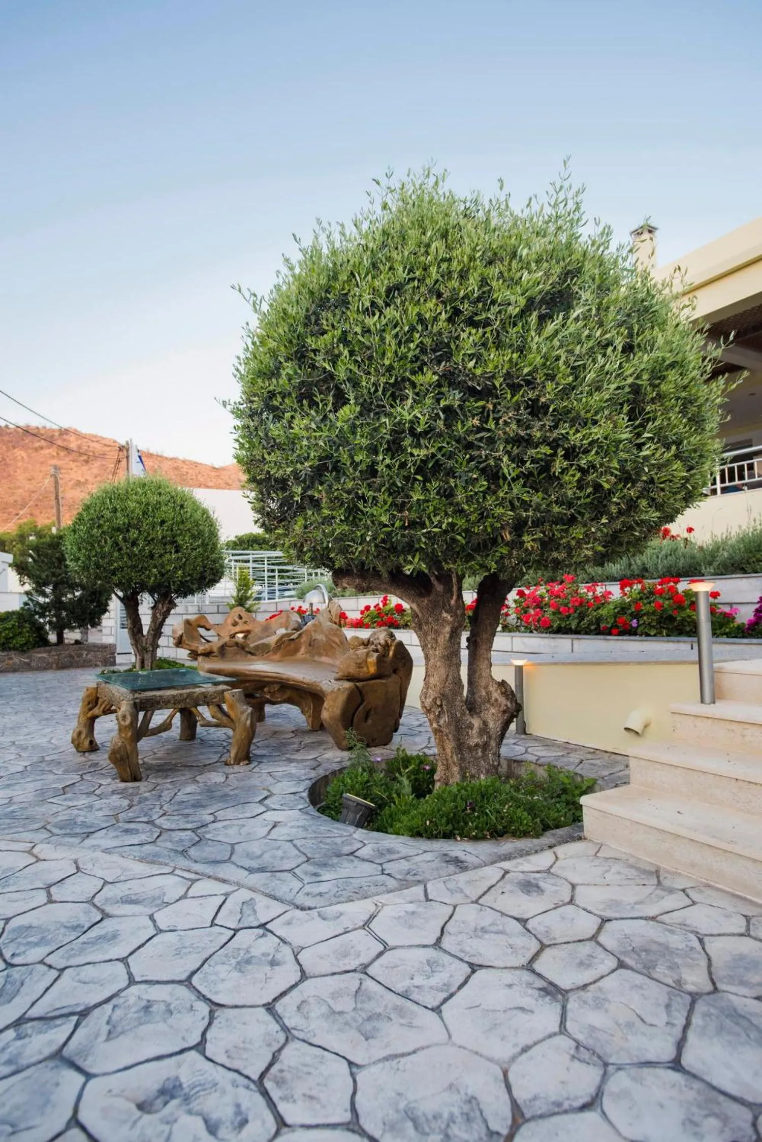 Garden in Almiriki Chios Rooms & Apartments