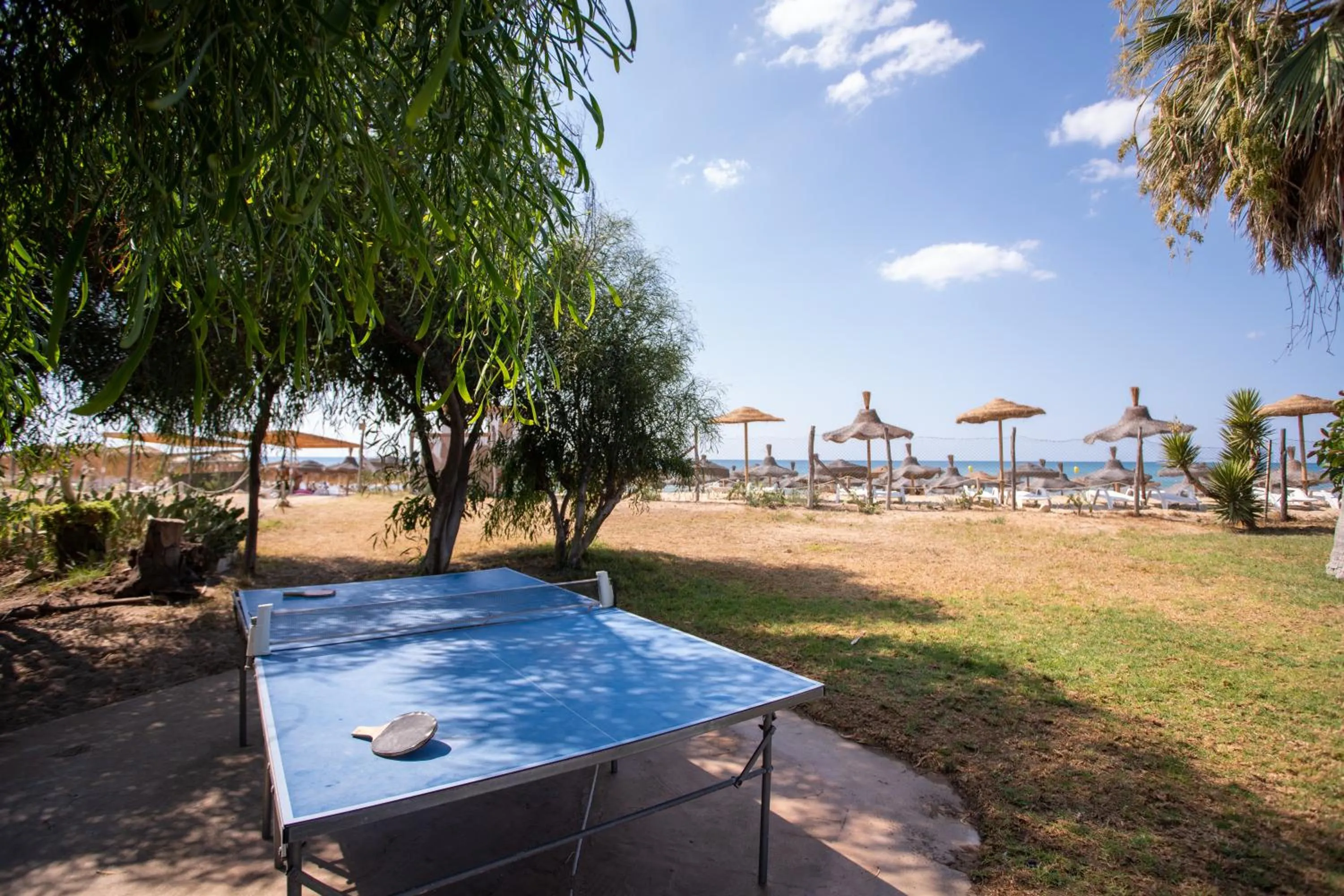 Entertainment in Hotel Baia Del Sole