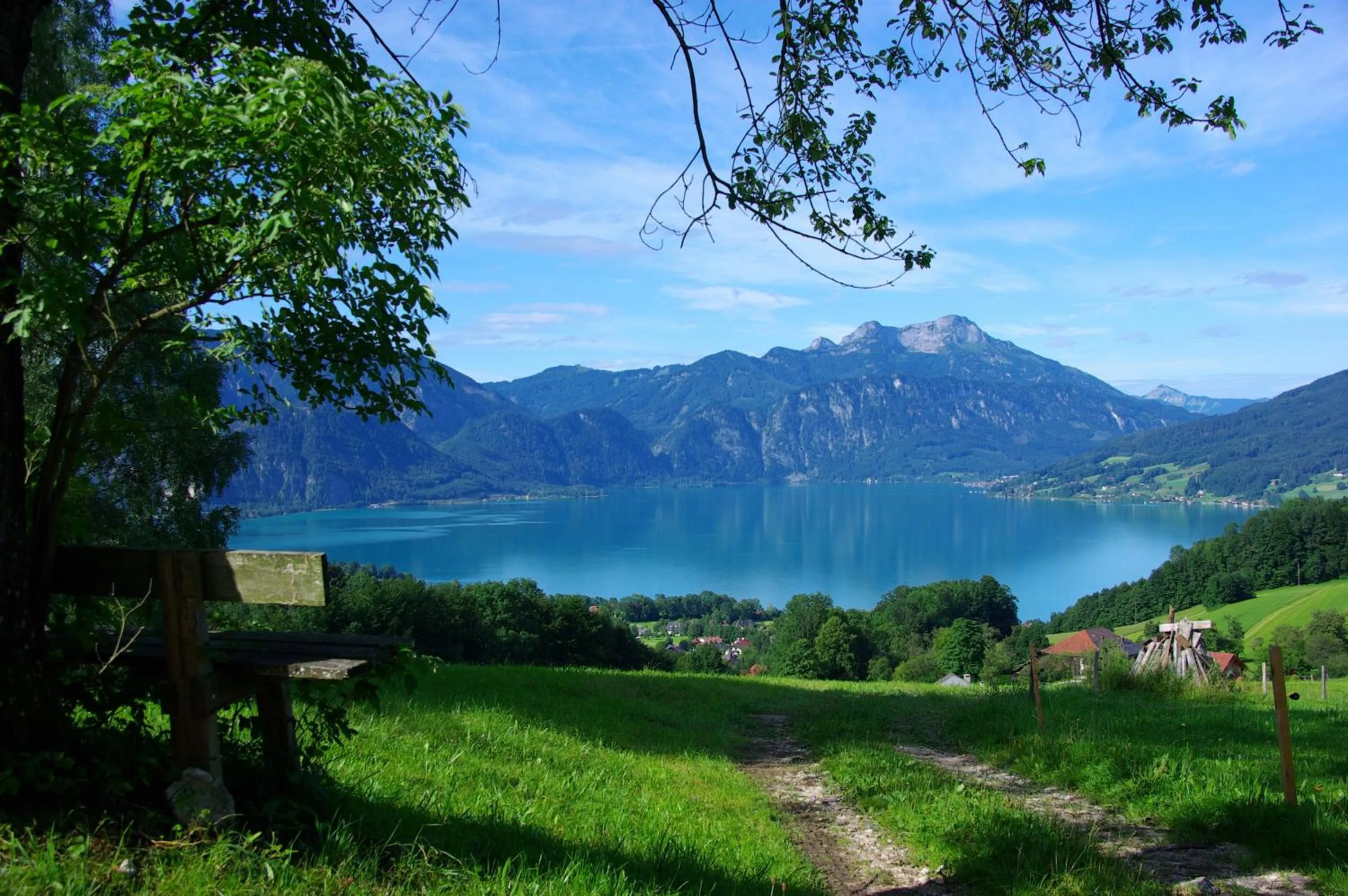 Natural landscape in Hotel Stadler am Attersee