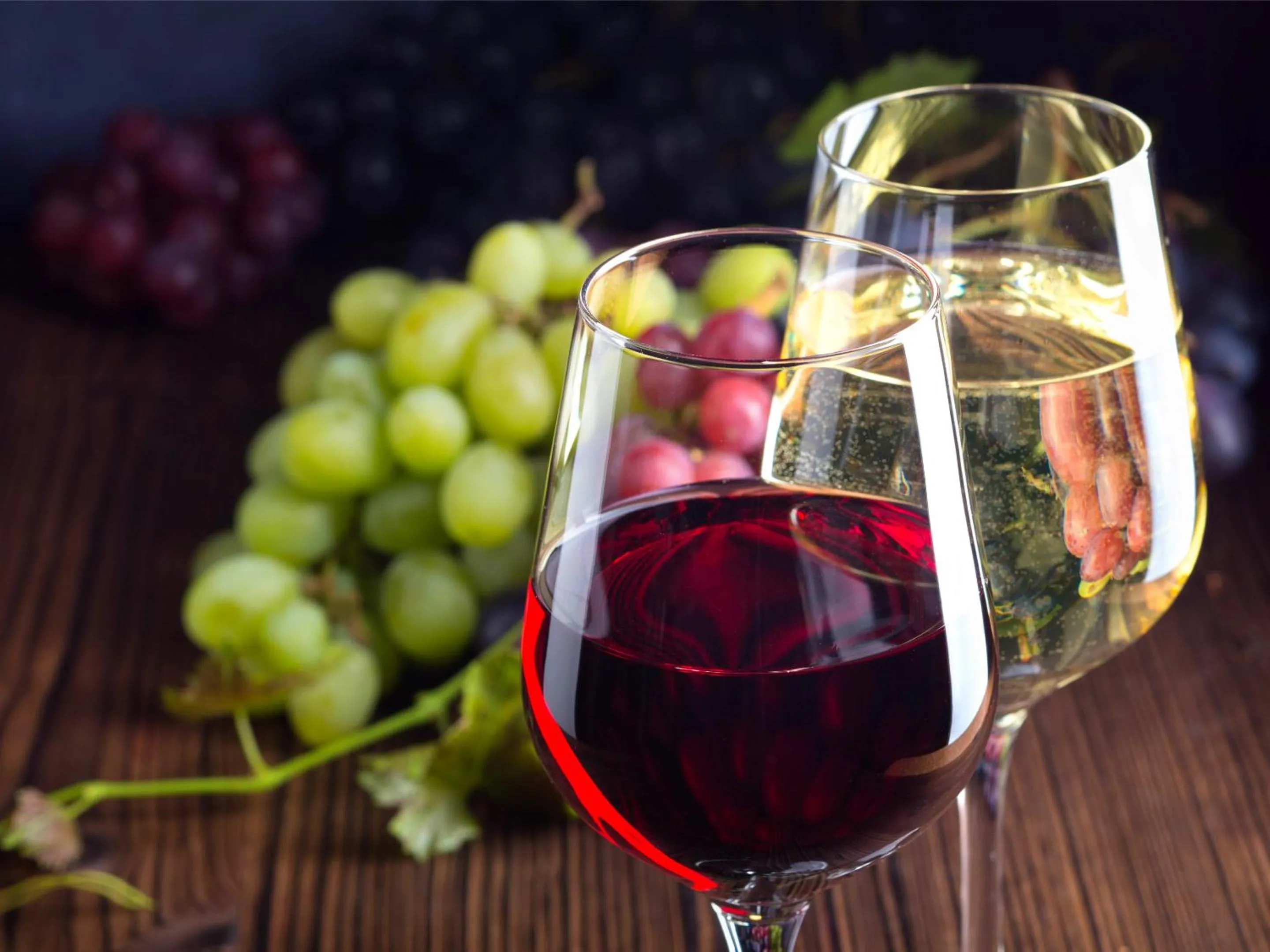 Photo of the whole room in Hakuba Ryujin Onsen RYOKAN SUI
