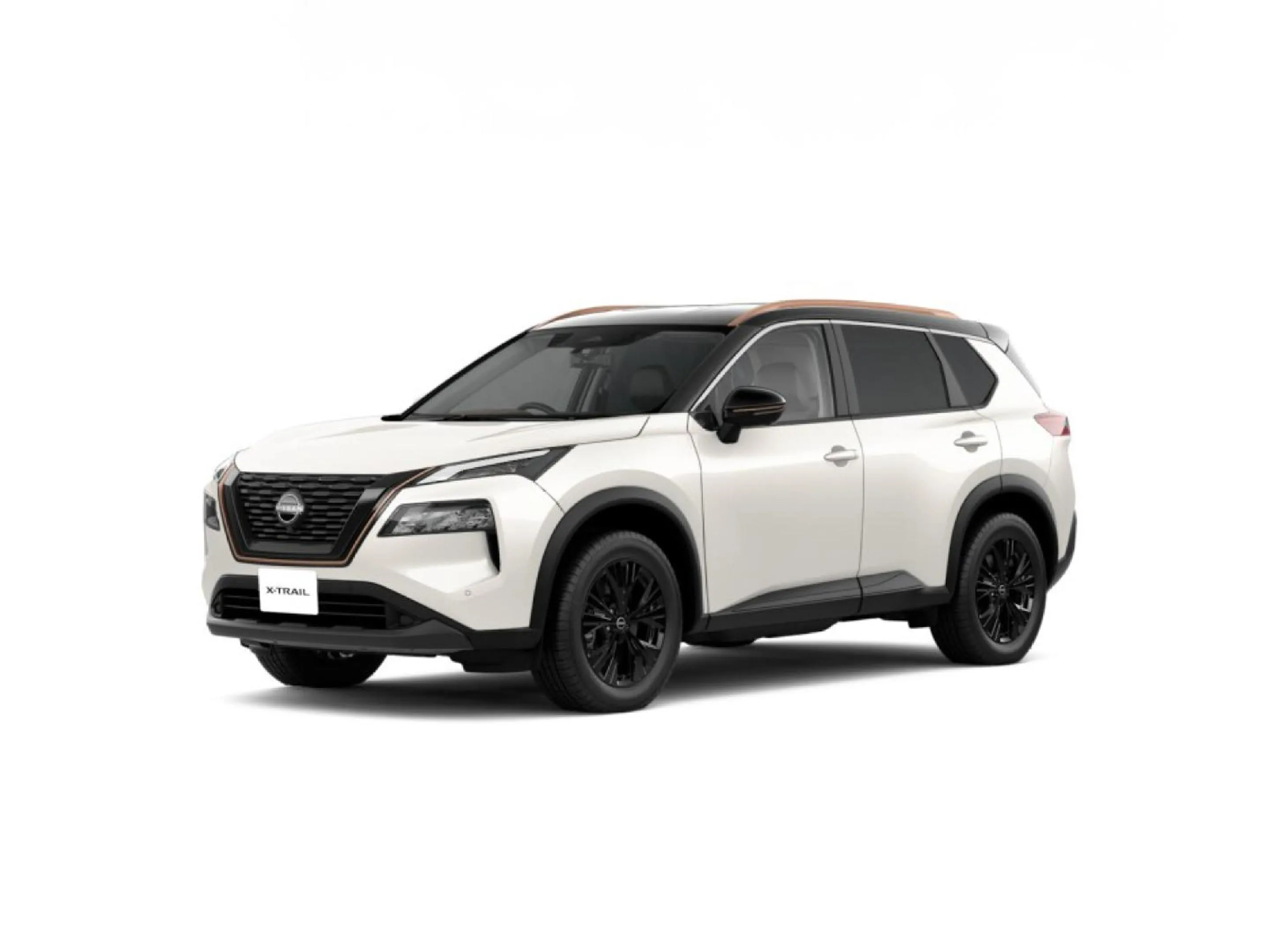 Photo of the whole room in Hakuba Ryujin Onsen RYOKAN SUI