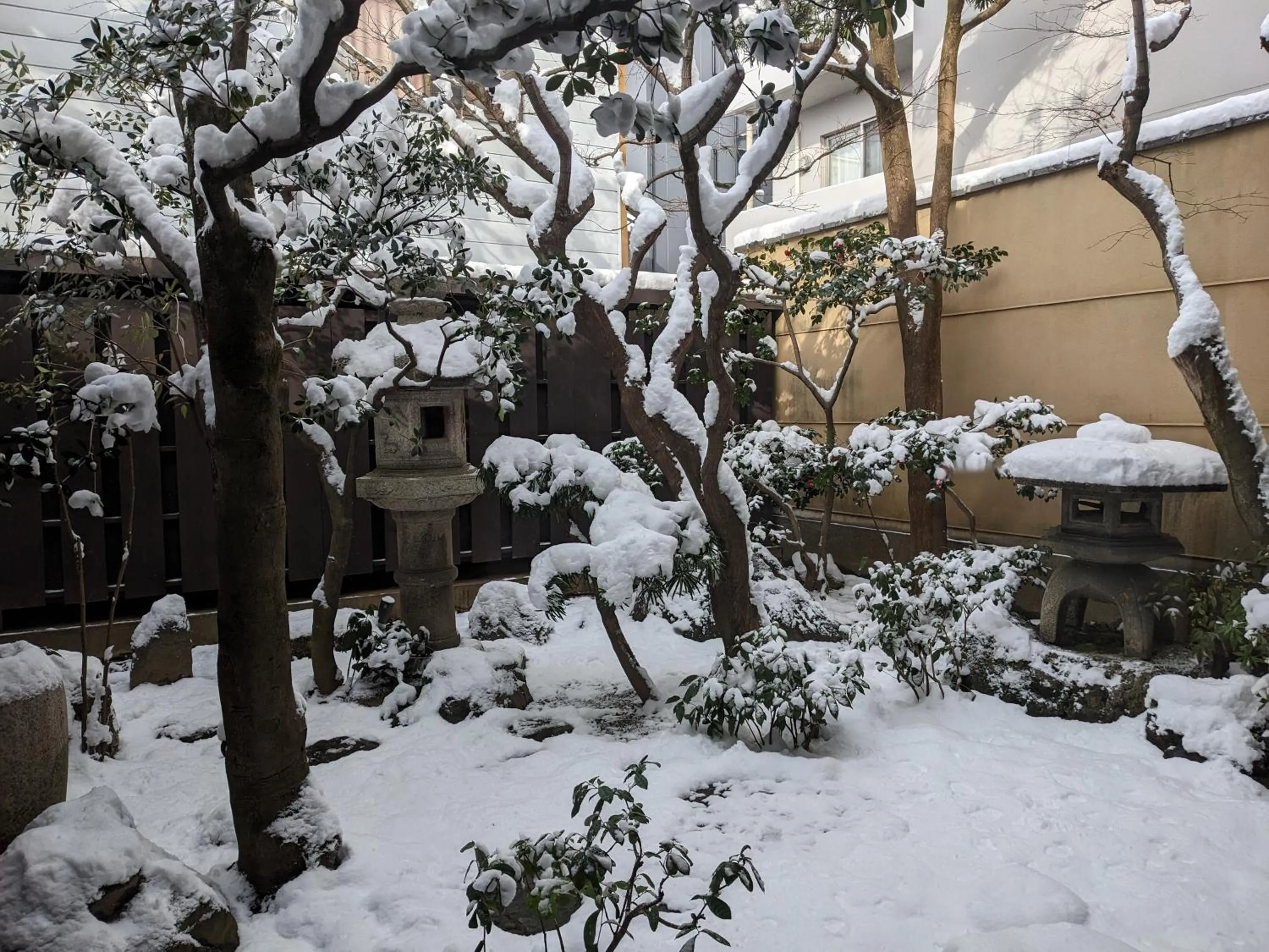 Garden in Ryokan Tanoya