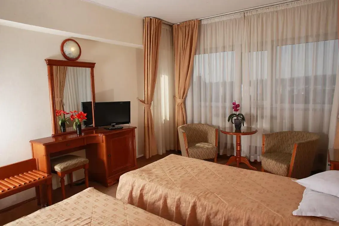 Double Room with Palace View - single occupancy in Hotel Moldova Double Room with Palace View - single occupancy in Hotel Moldova