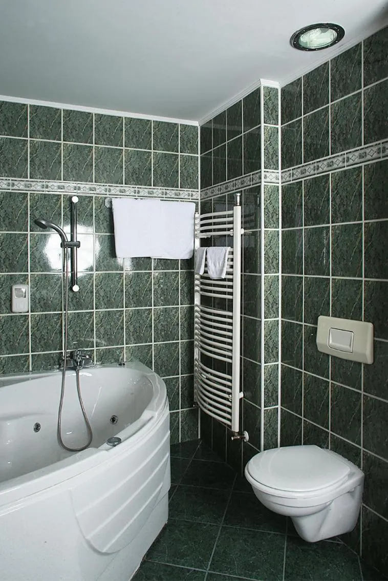 Bathroom in Hotel Moldova