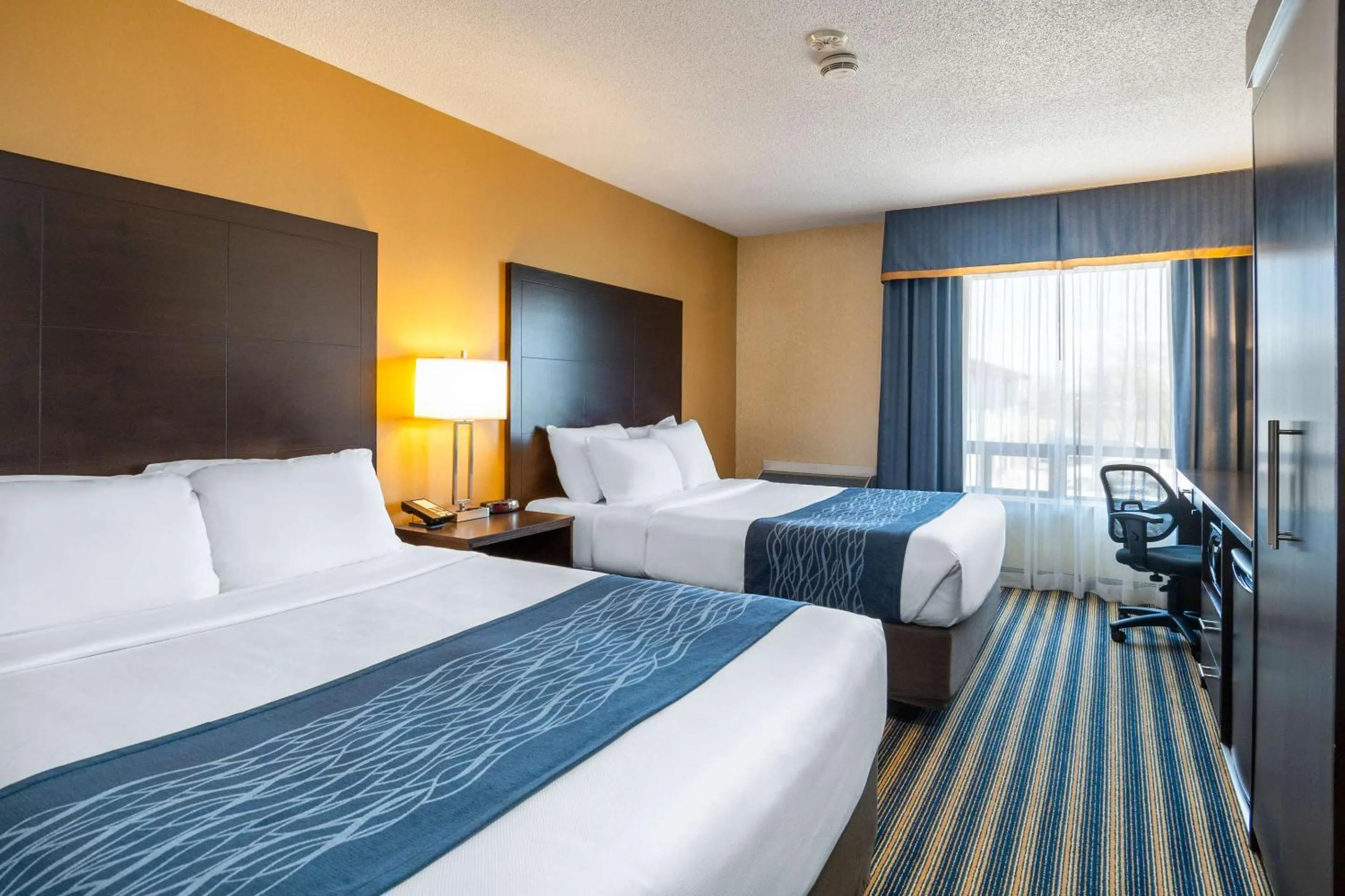 Bedroom, Bed in Comfort Inn