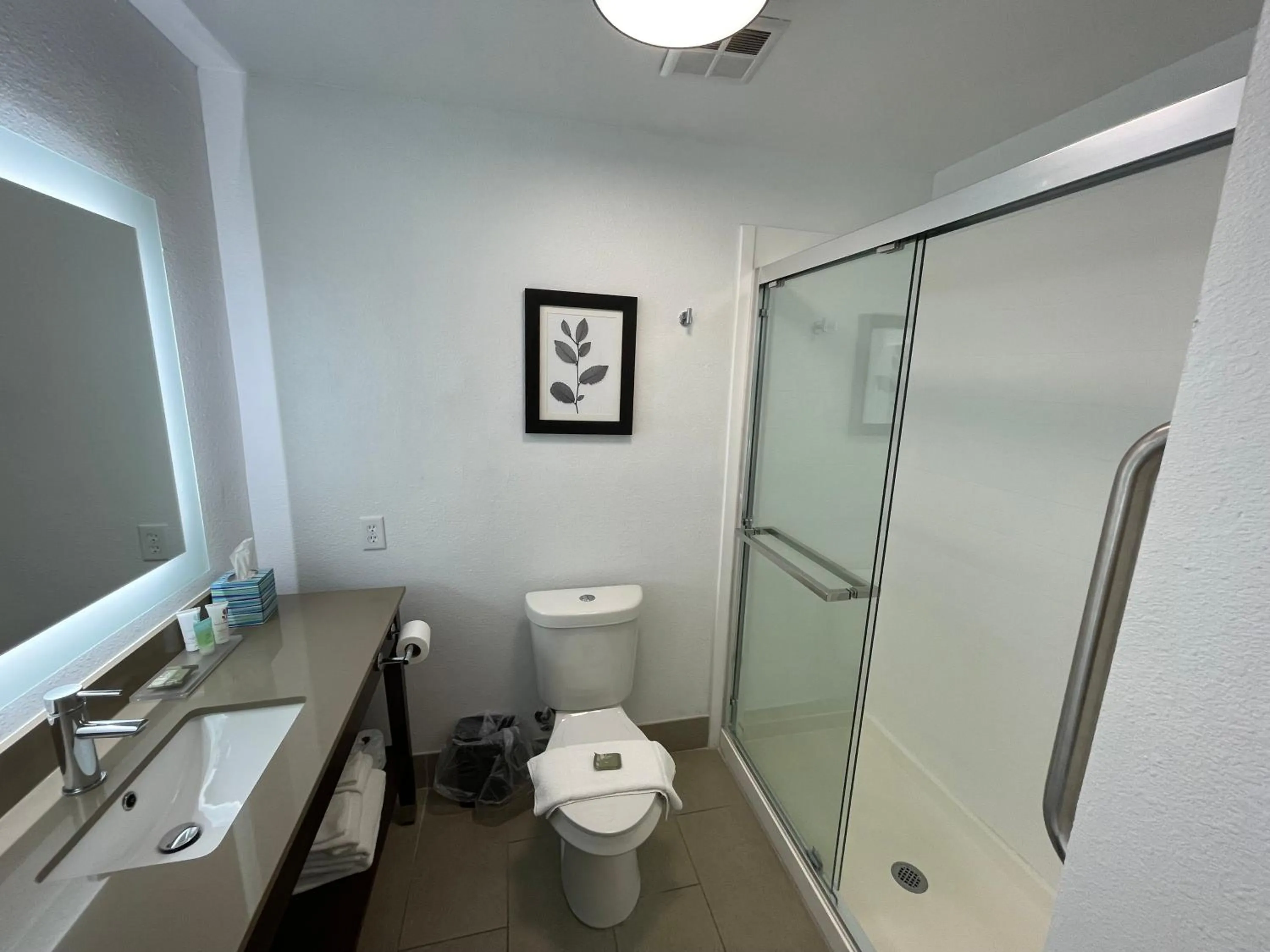 Bathroom in Country Inn & Suites by Radisson, Midway - Tallahassee West