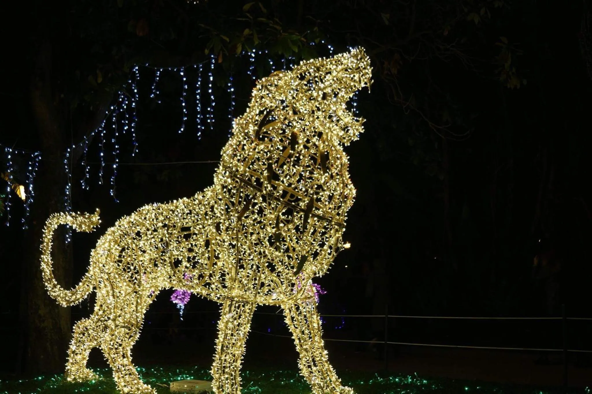 B&B Fratelli Tommasini Salerno