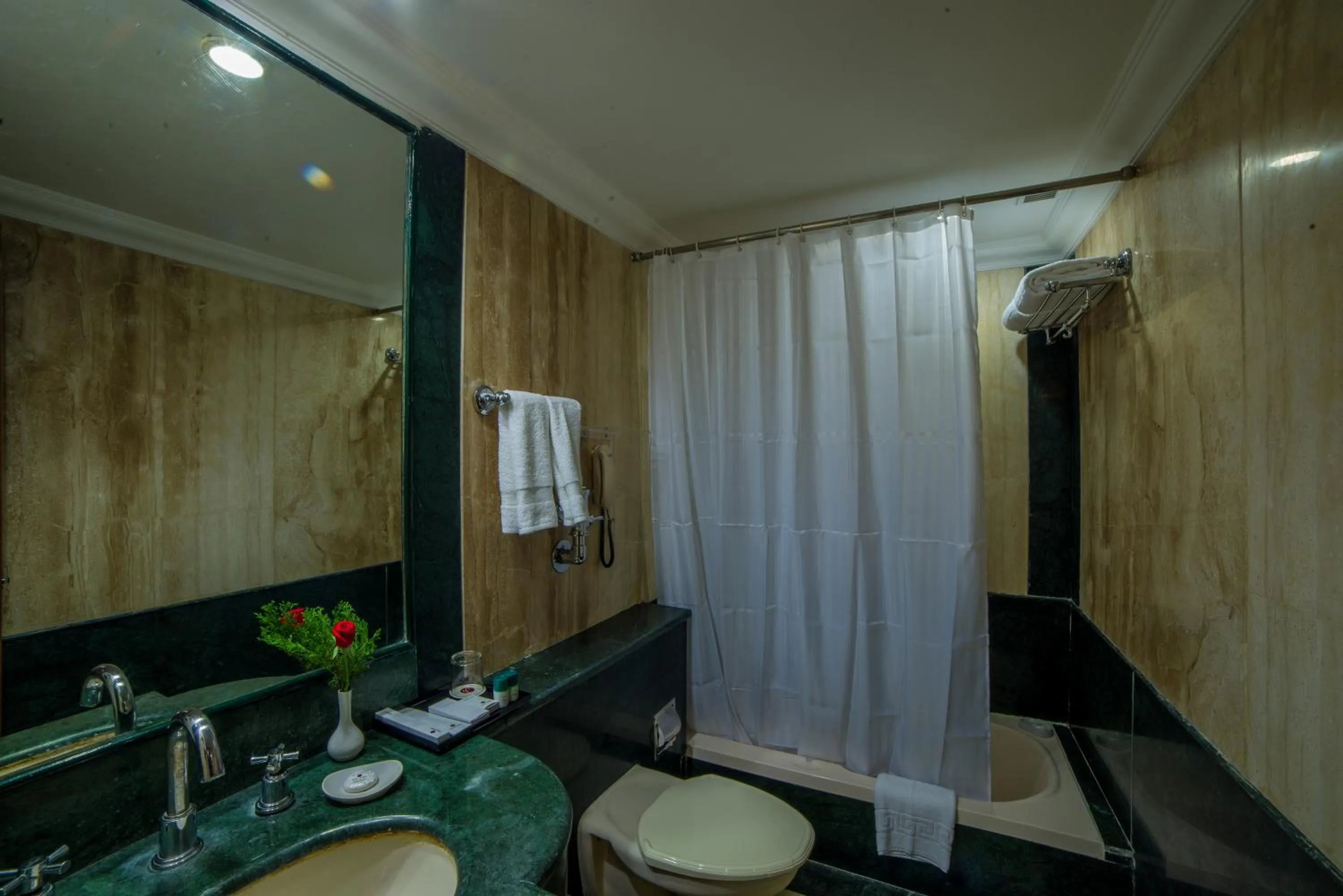 Bathroom in Raj Park Hotel Chennai