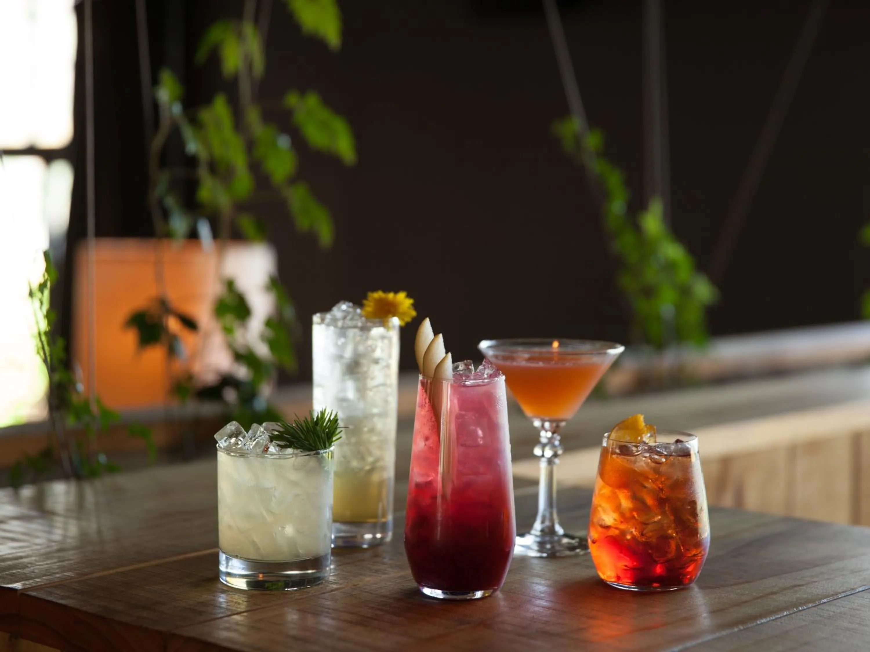 Alcoholic drinks in Sherwood Queenstown