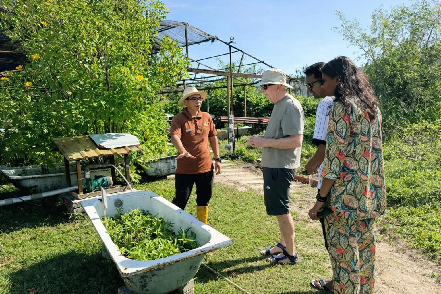 Activities in Frangipani Langkawi Resort