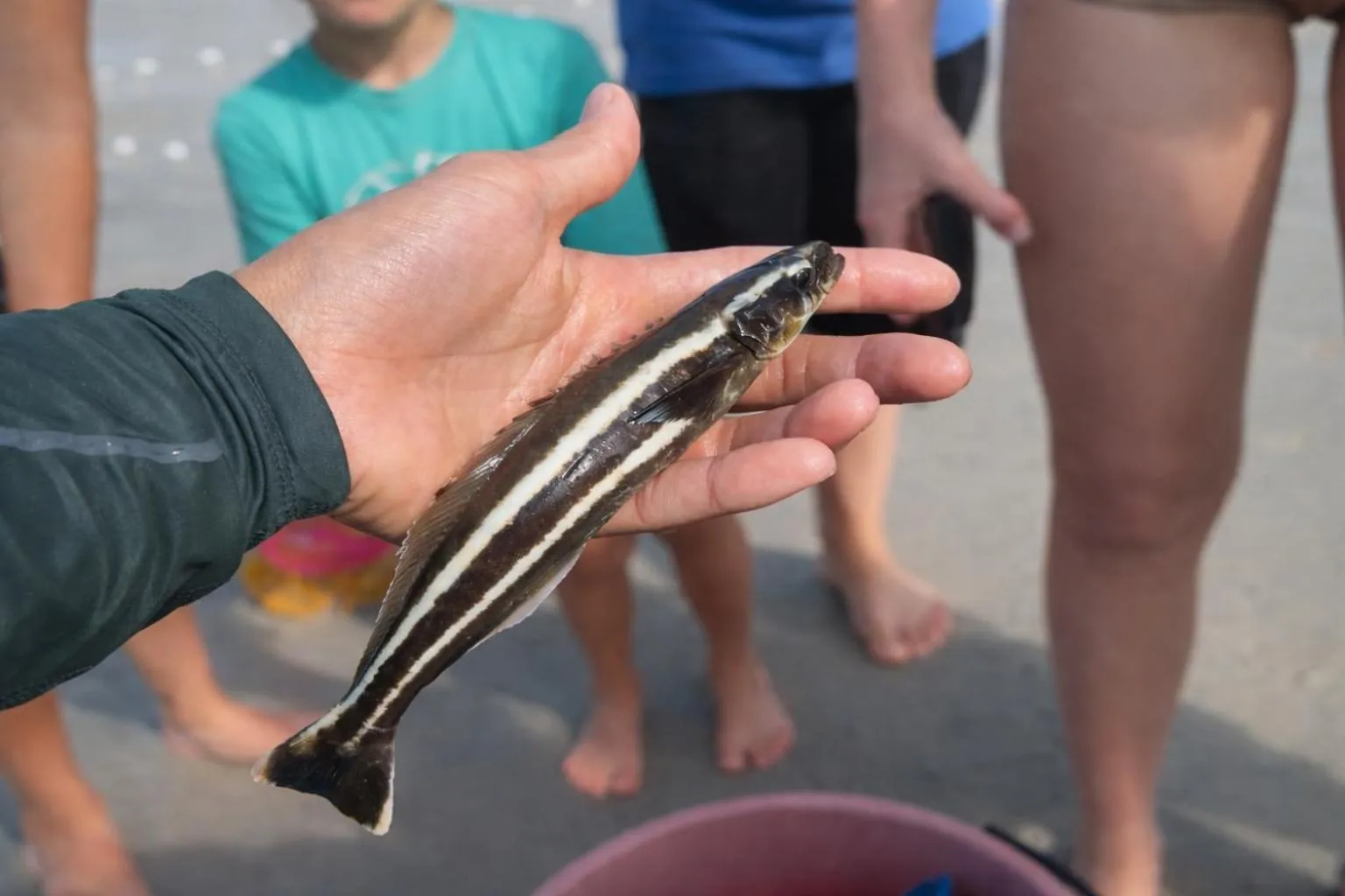 Activities in Frangipani Langkawi Resort