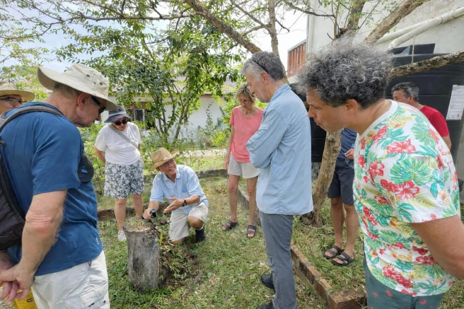 Activities in Frangipani Langkawi Resort