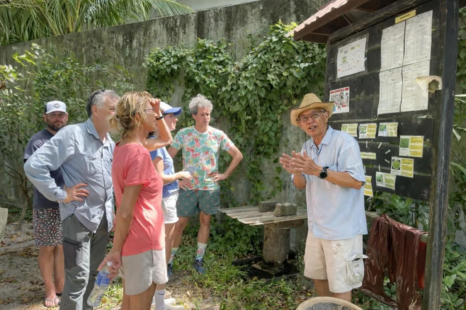 Activities in Frangipani Langkawi Resort