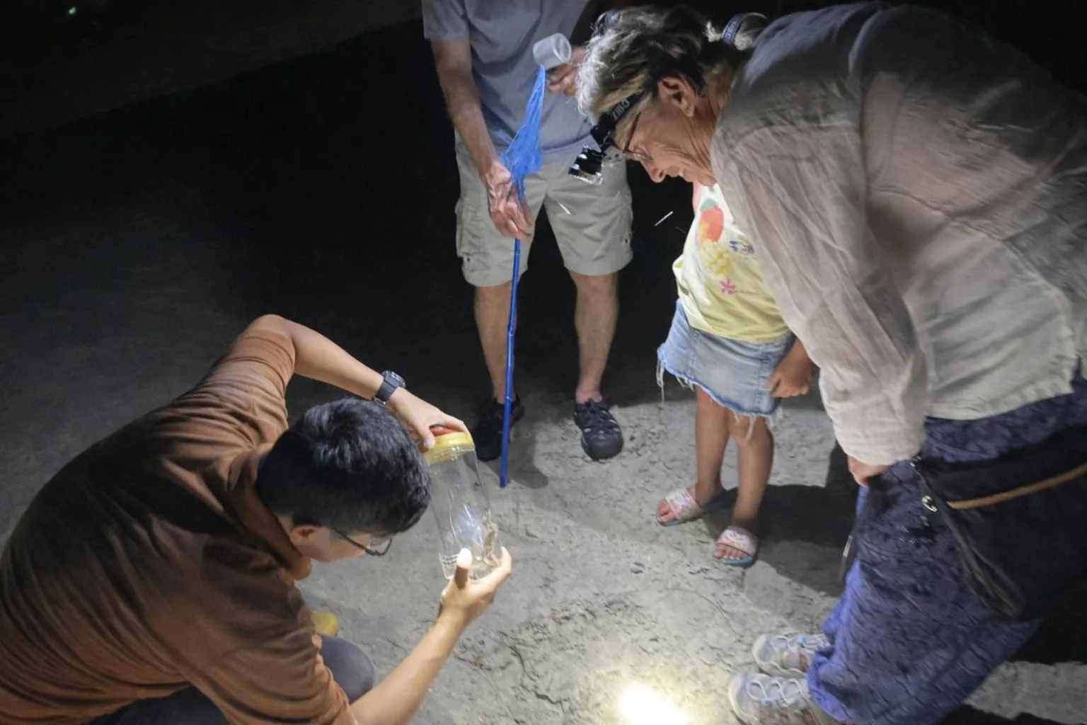 Activities in Frangipani Langkawi Resort