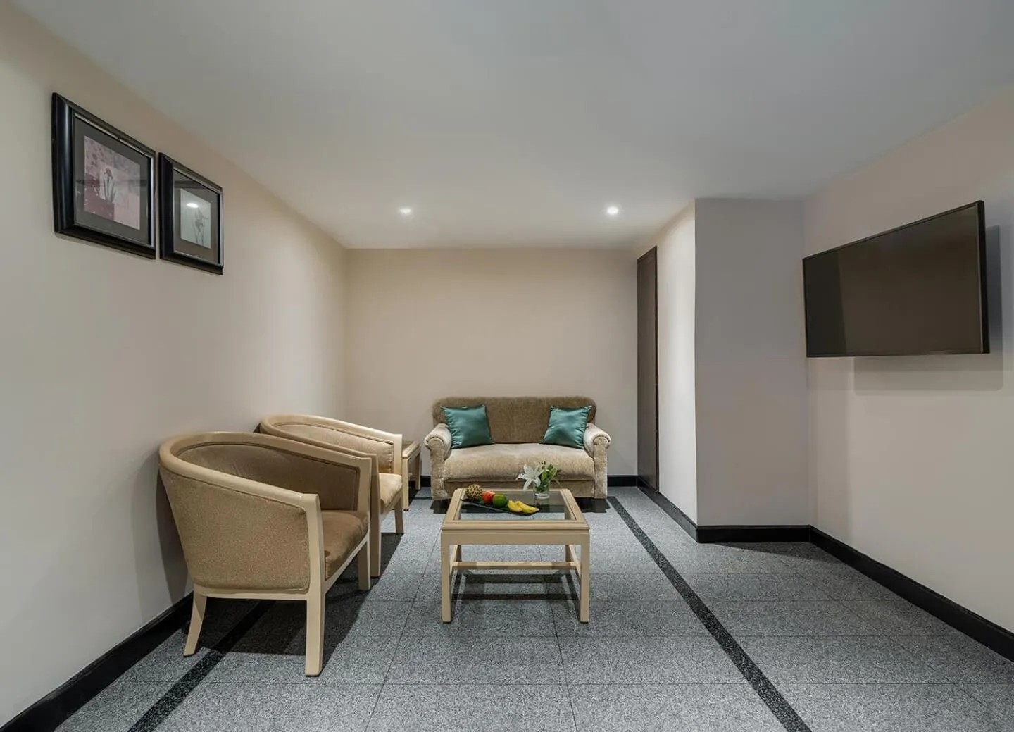 TV and multimedia in Greenpark Visakhapatnam