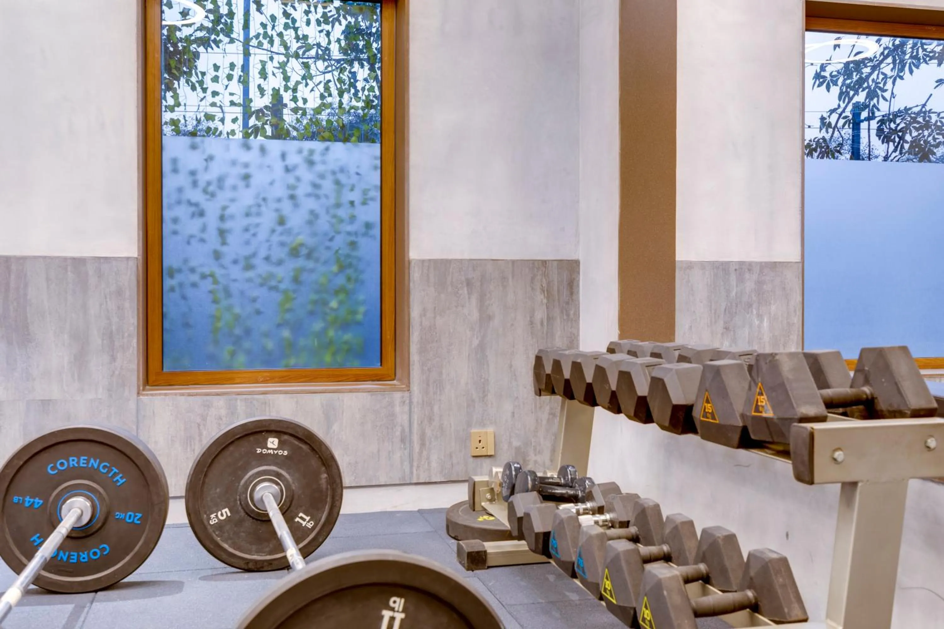 Fitness centre/facilities in The Manor - New Delhi