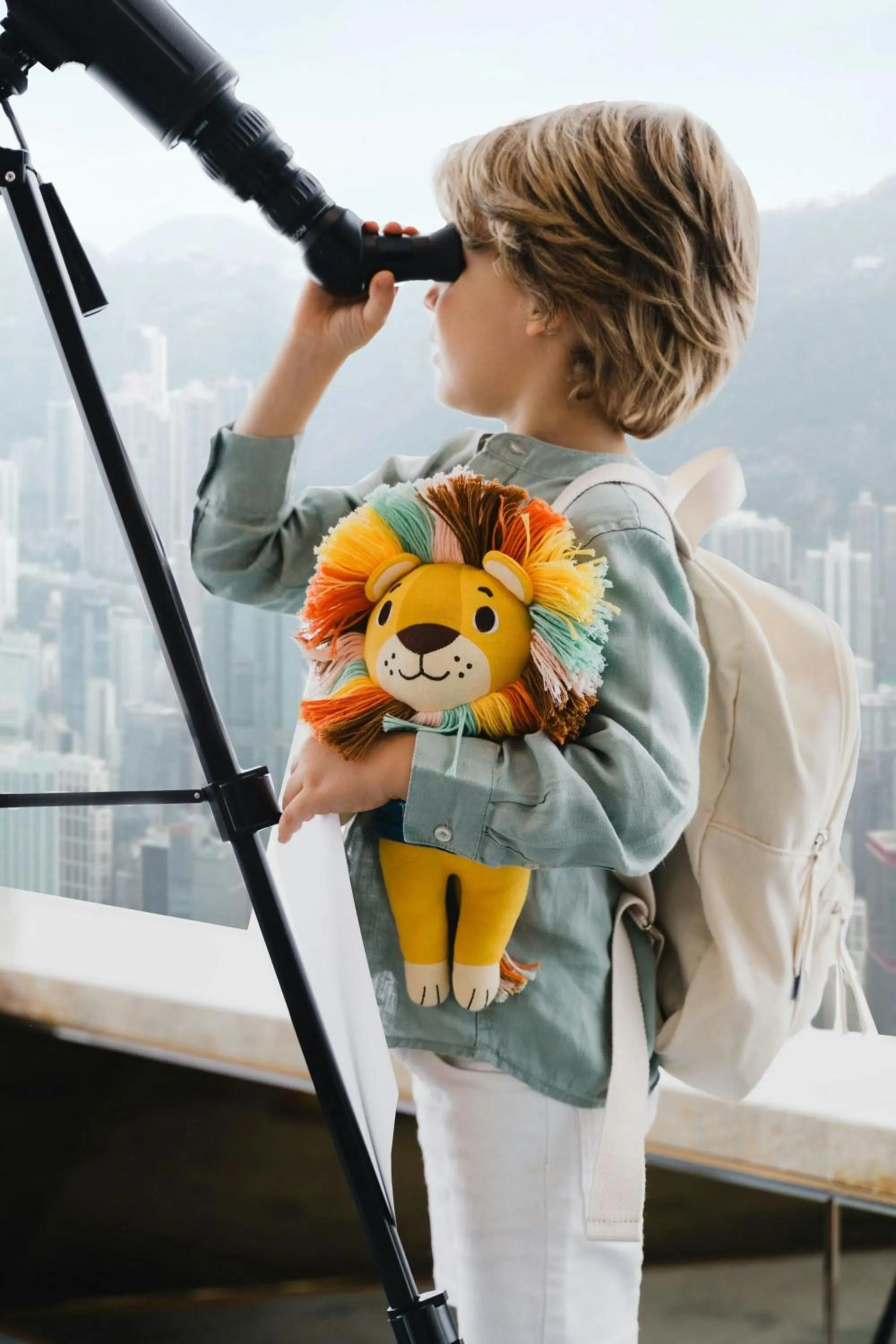 Other in The Ritz-Carlton, Hong Kong