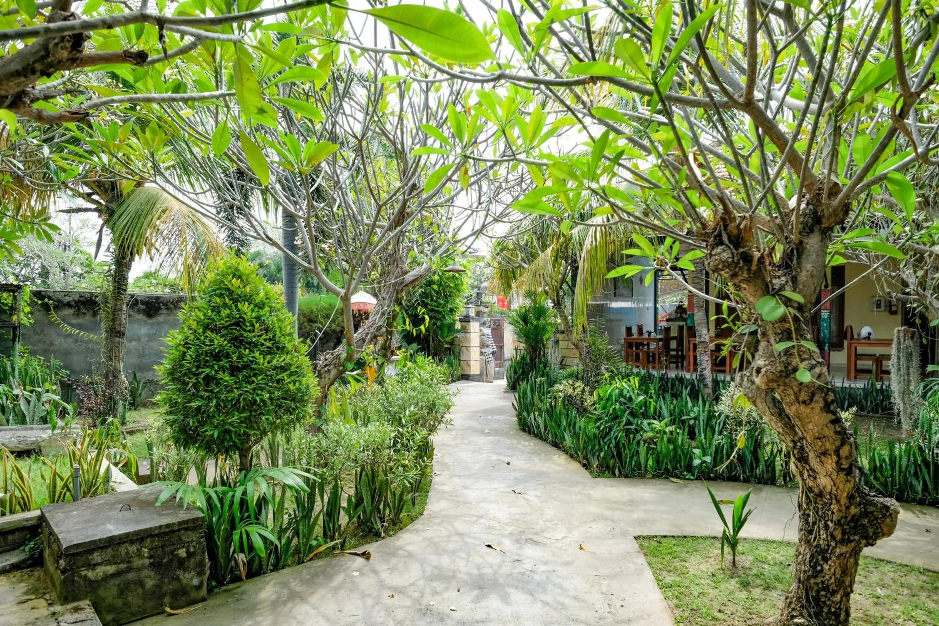 Property building in RedDoorz Plus @ Singaraja