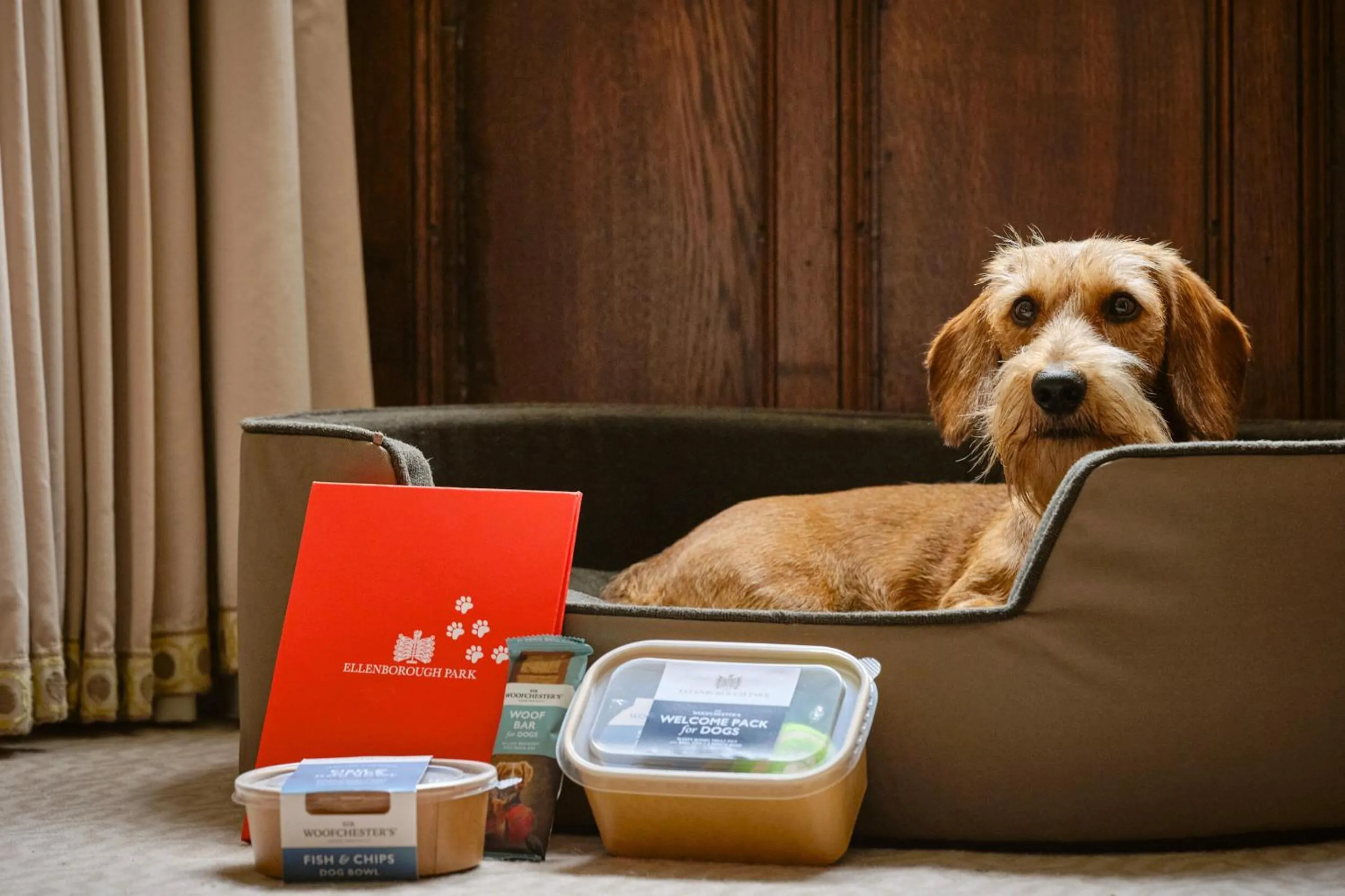 Activities in Ellenborough Park