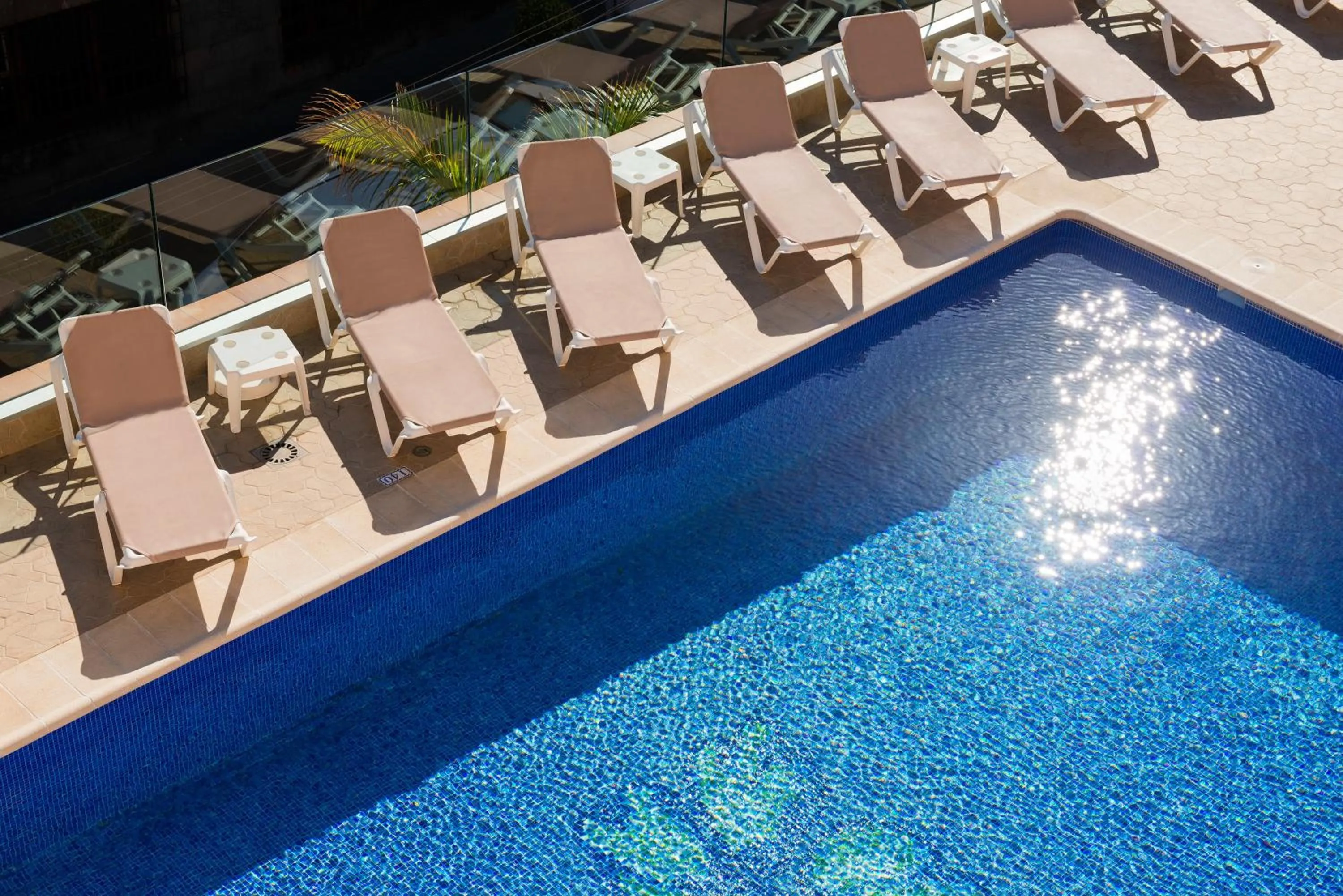 Swimming pool in Hotel Monopol