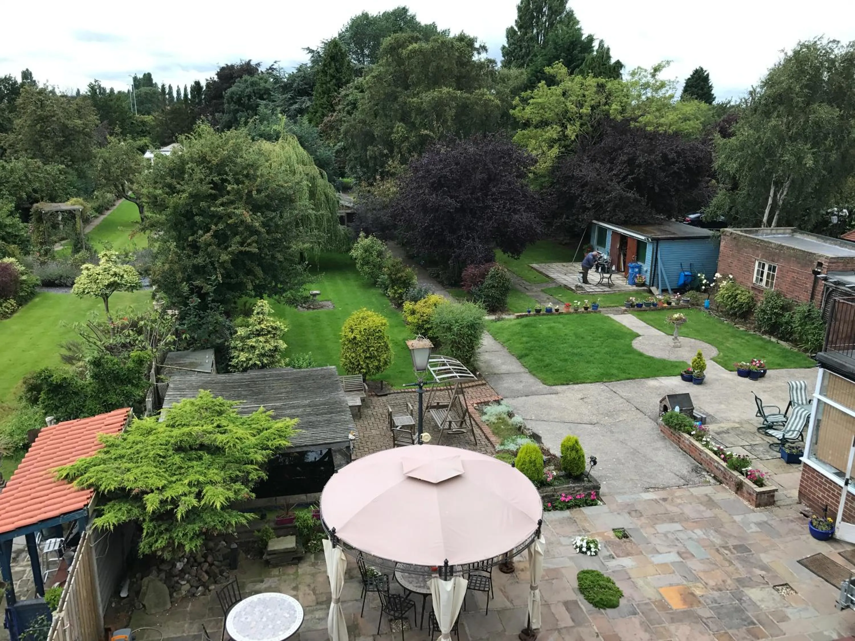 Garden view in Acorn Guest House in Hull