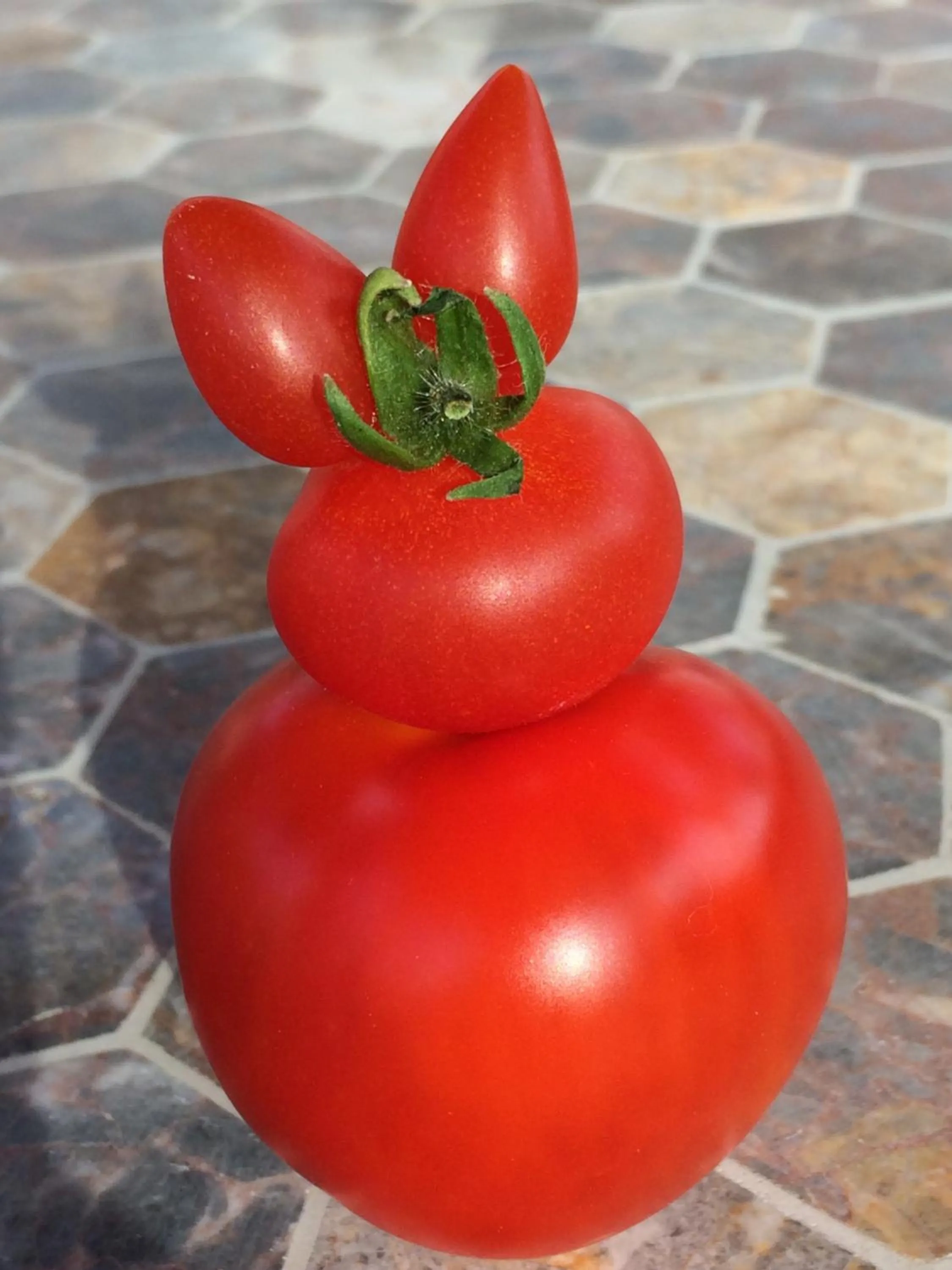 Breakfast in Acorn Guest House in Hull