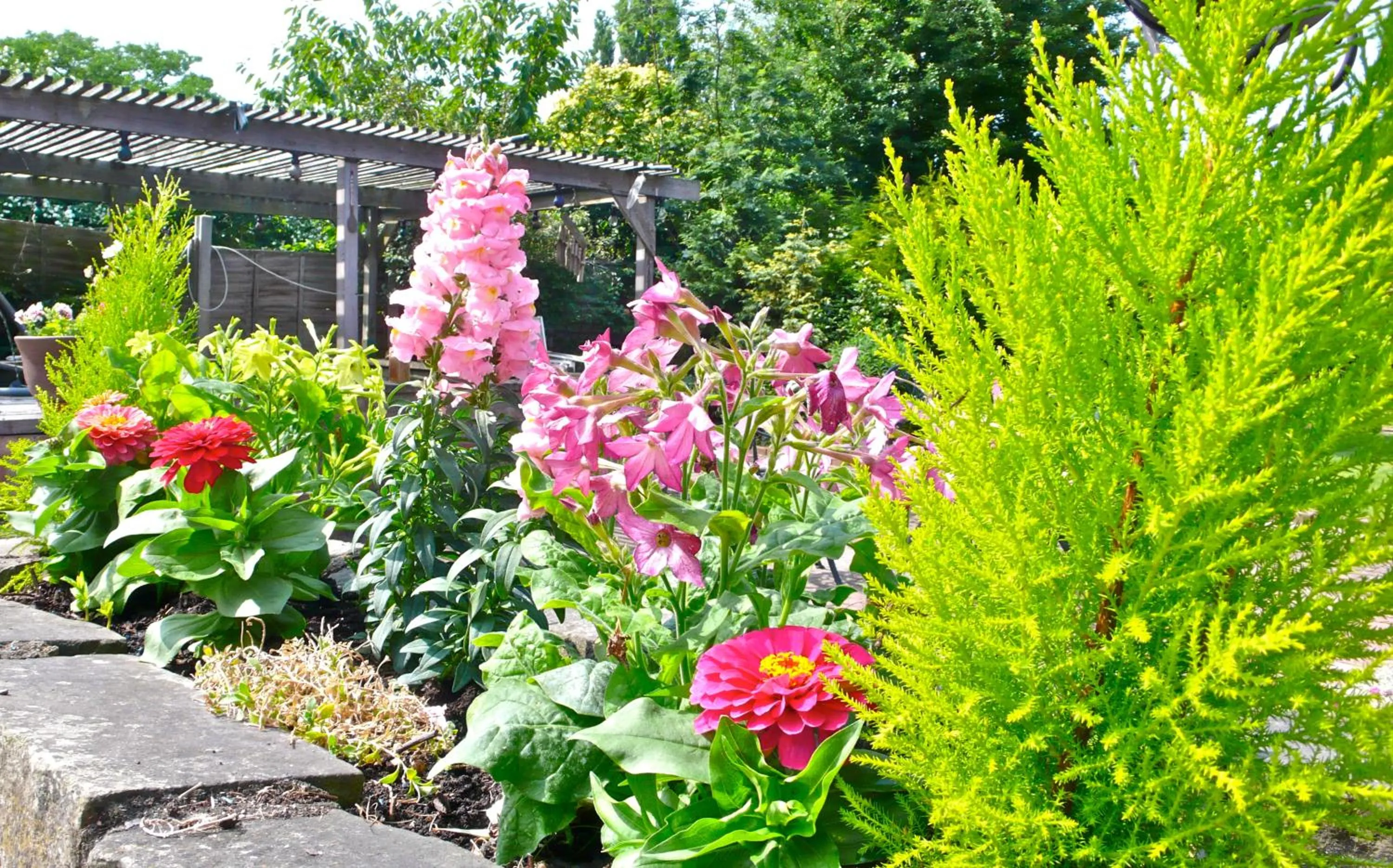 Spring in Acorn Guest House in Hull