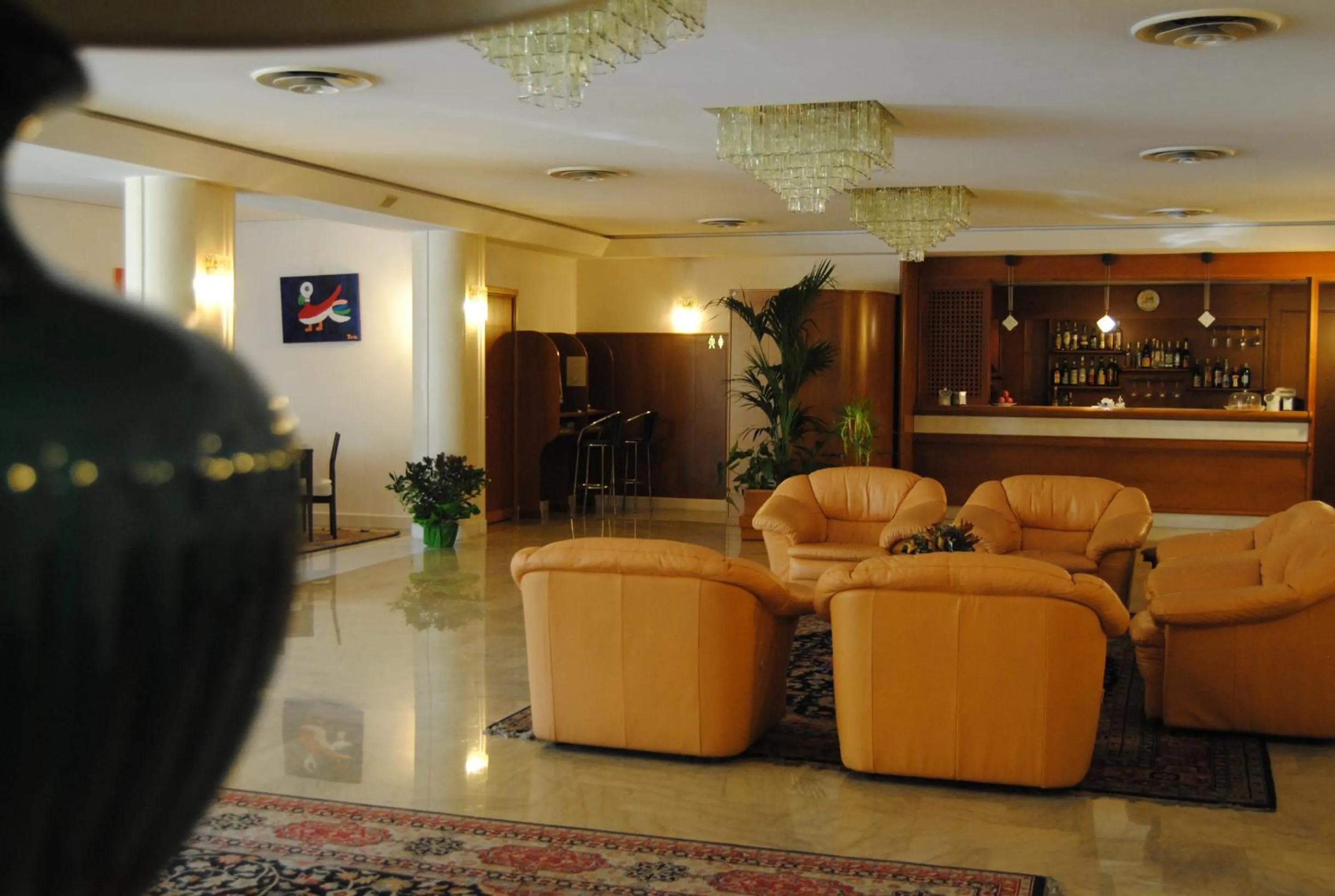 Lounge or bar in Hotel Bassetto
