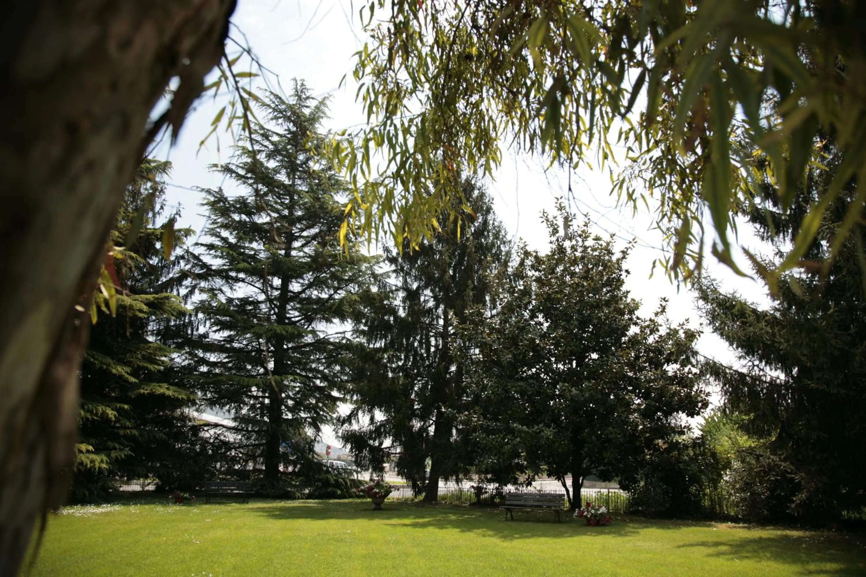 Garden in Hotel Bassetto