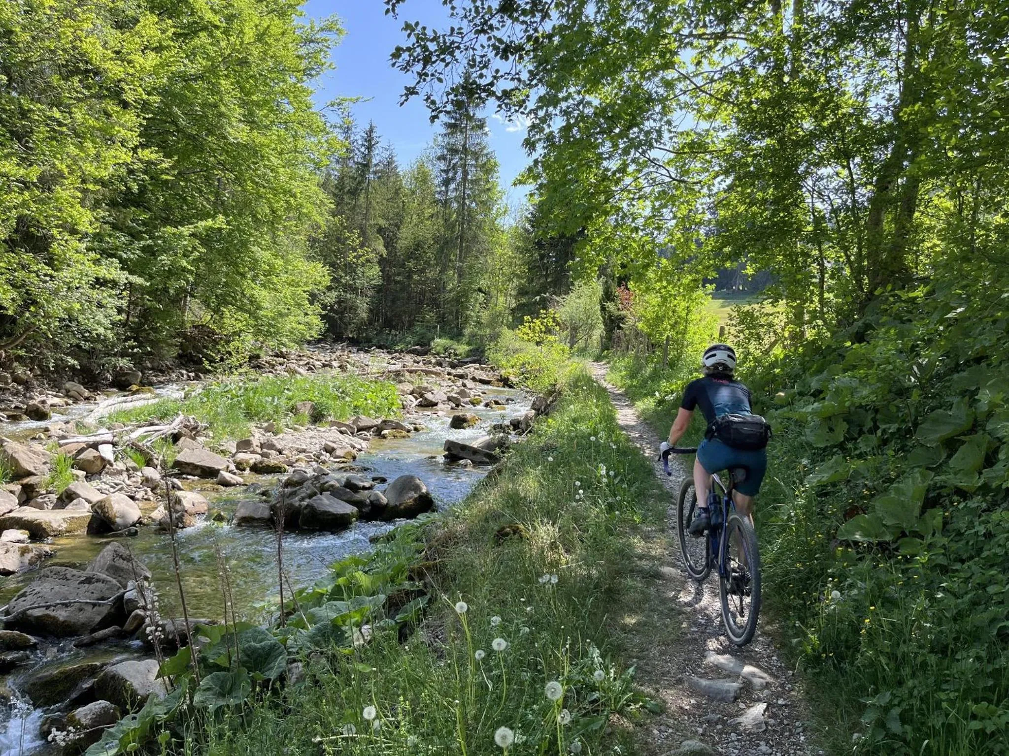 Natural landscape in Hotel Sonne - Self Check-in