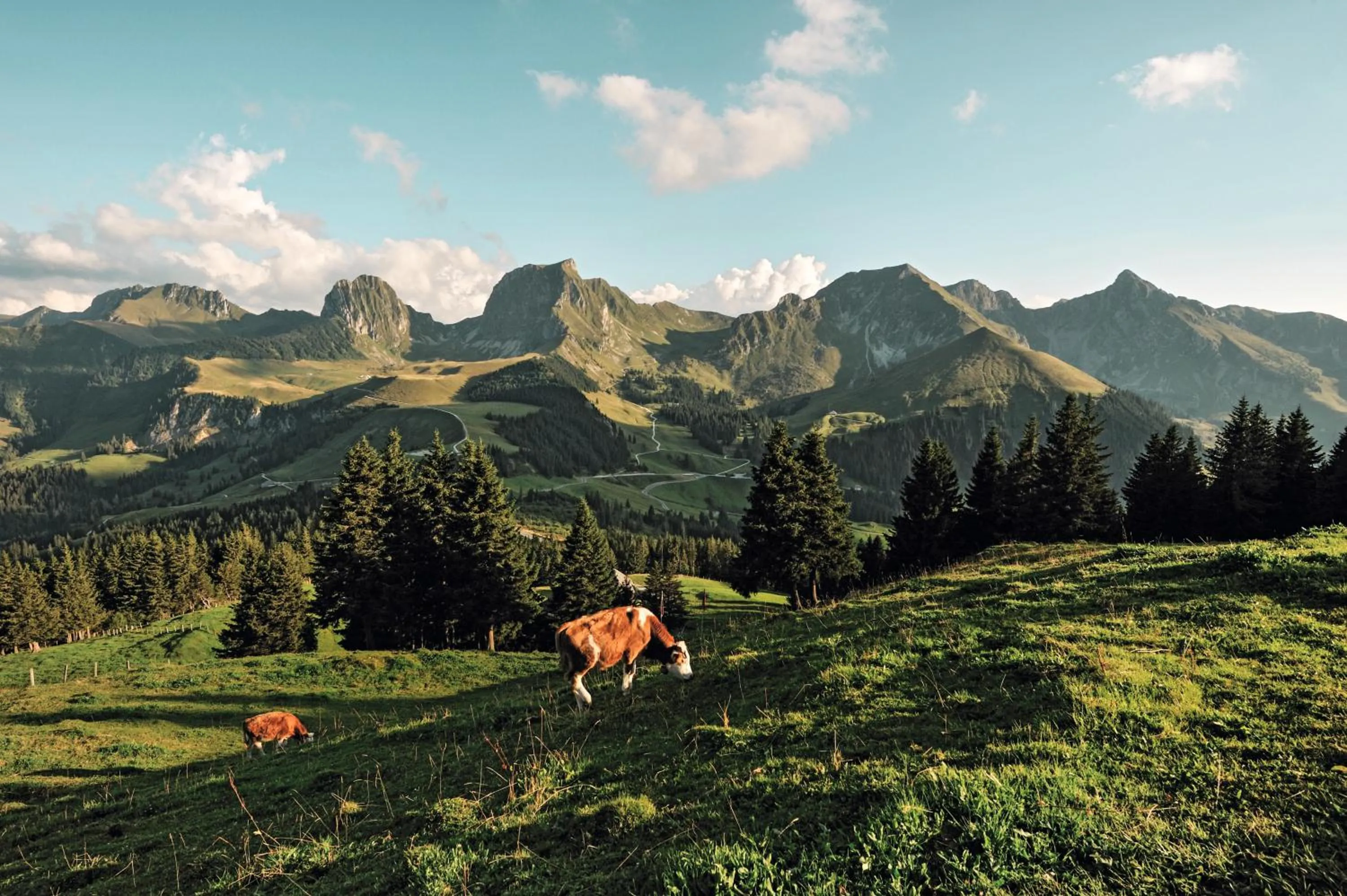 Natural landscape in Hotel Sonne - Self Check-in