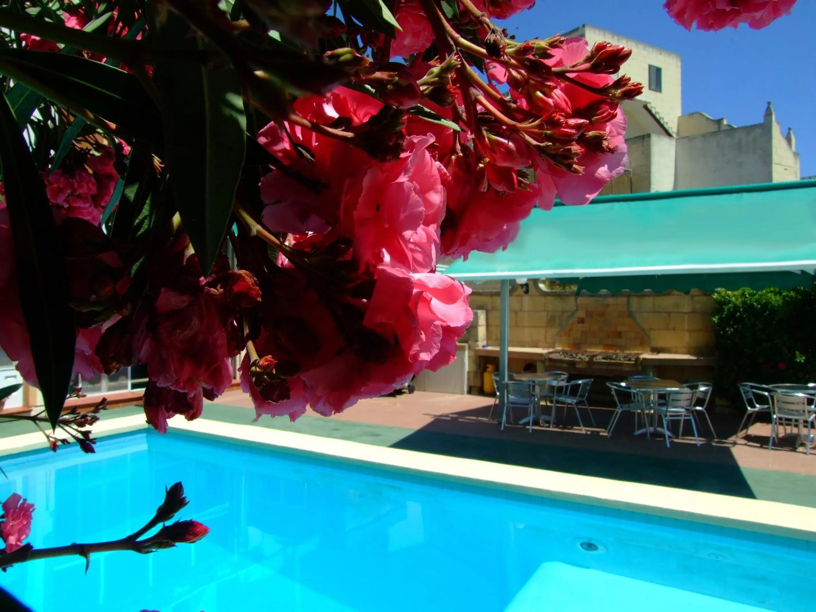 Swimming pool in Mariblu Hotel